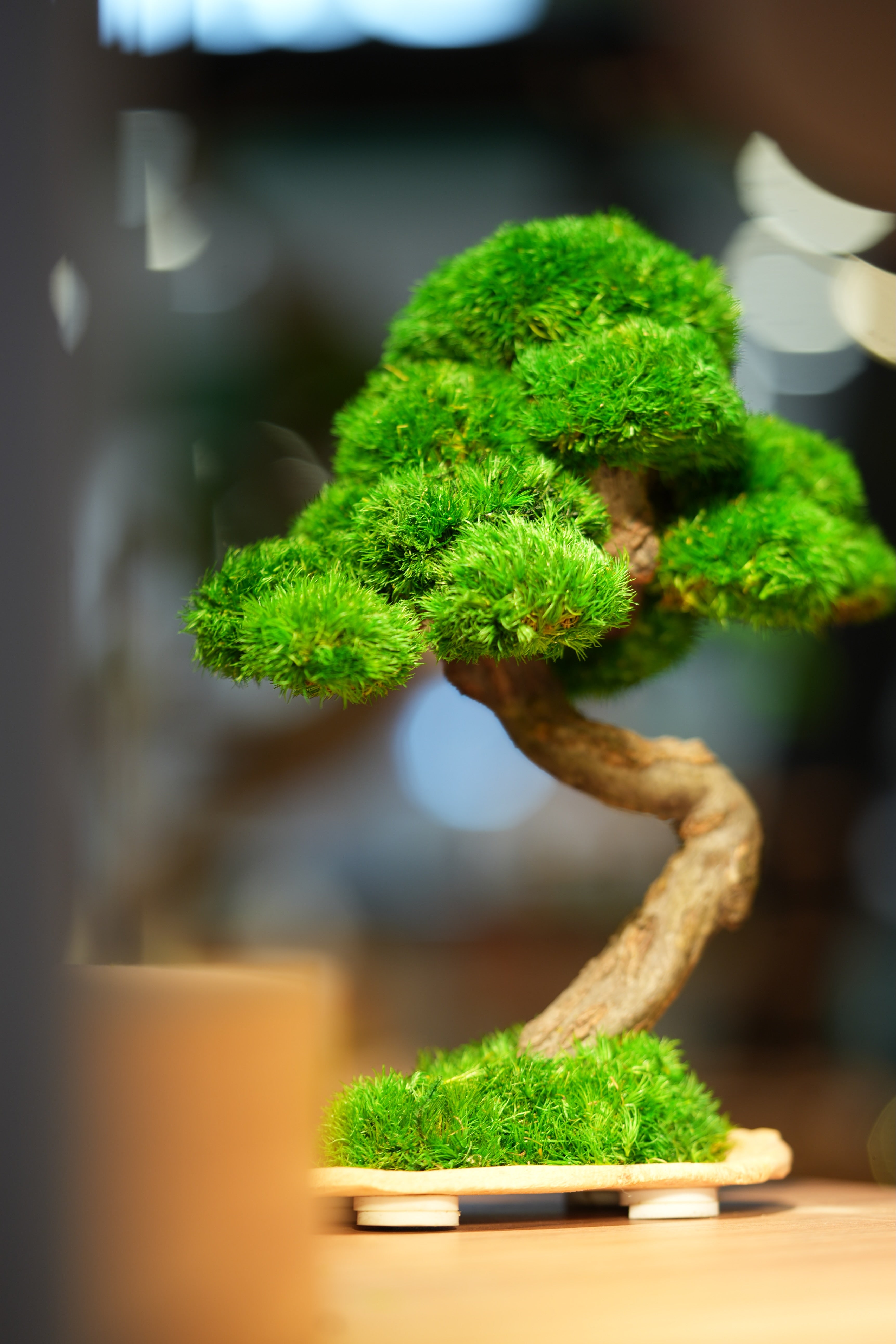 Rosewood - Speed of Light