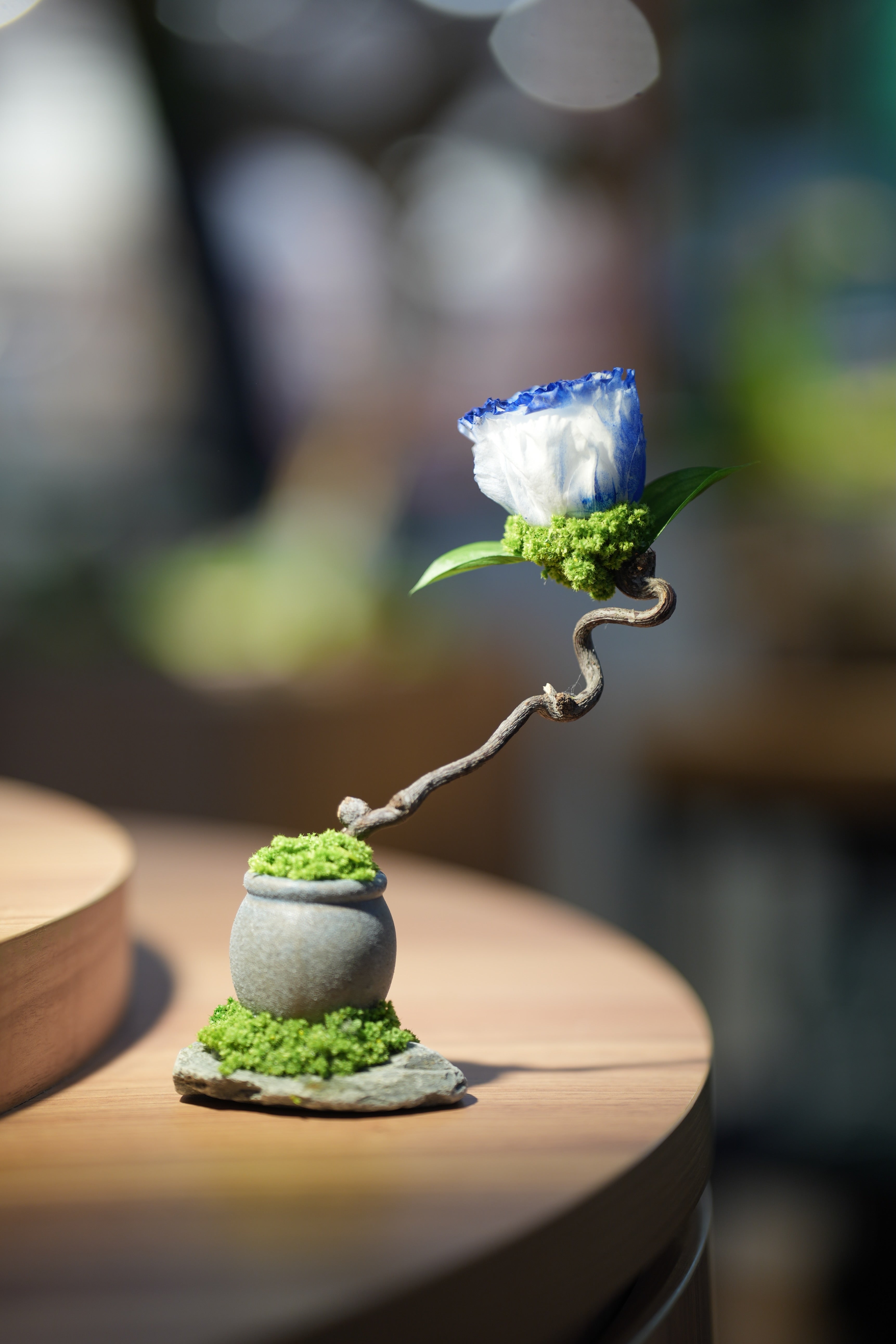 Children of the Forest - Jupiter - Blue Dream