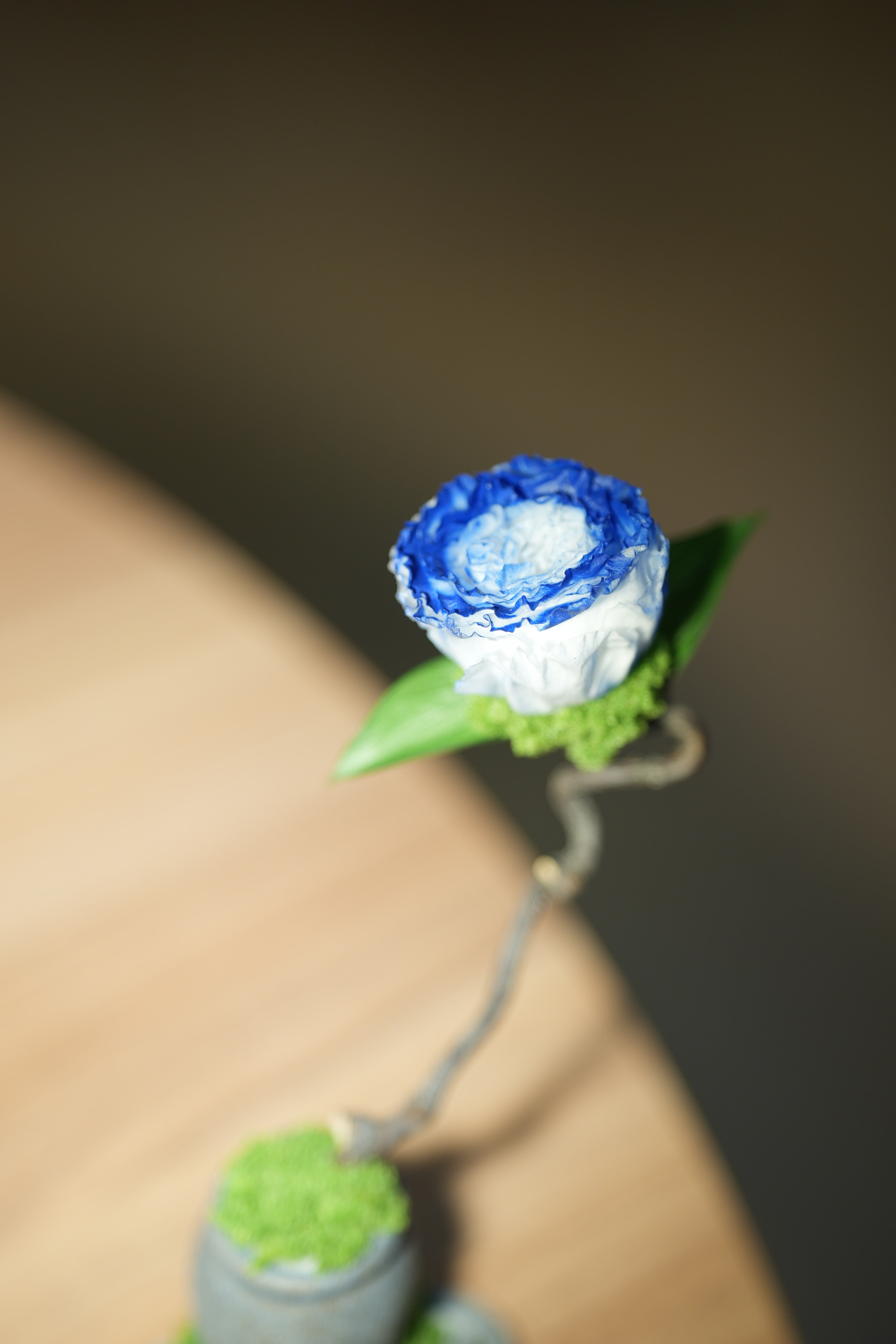 Children of the Forest - Jupiter - Blue Dream