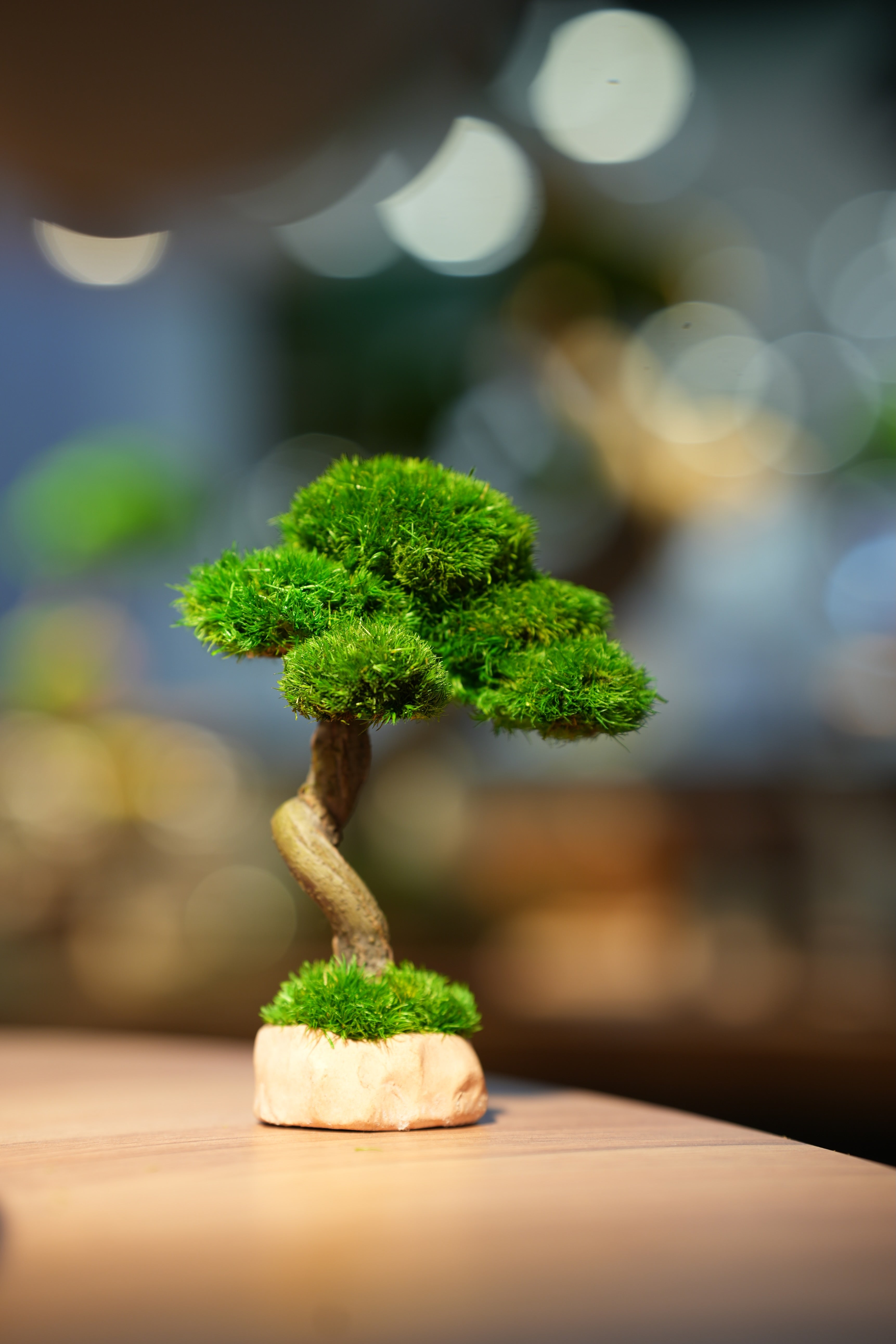 Small Tree in the East