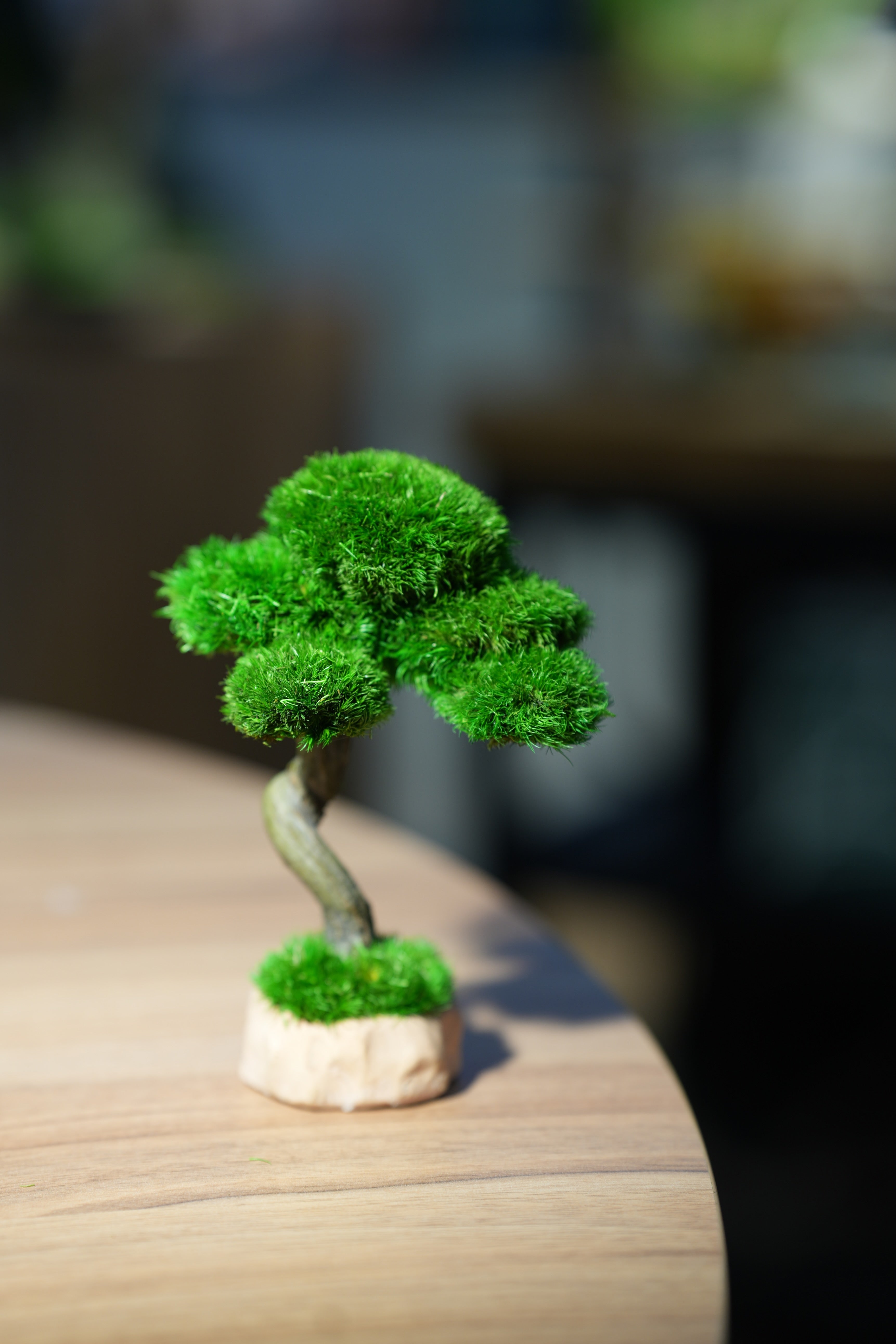 Small Tree in the East