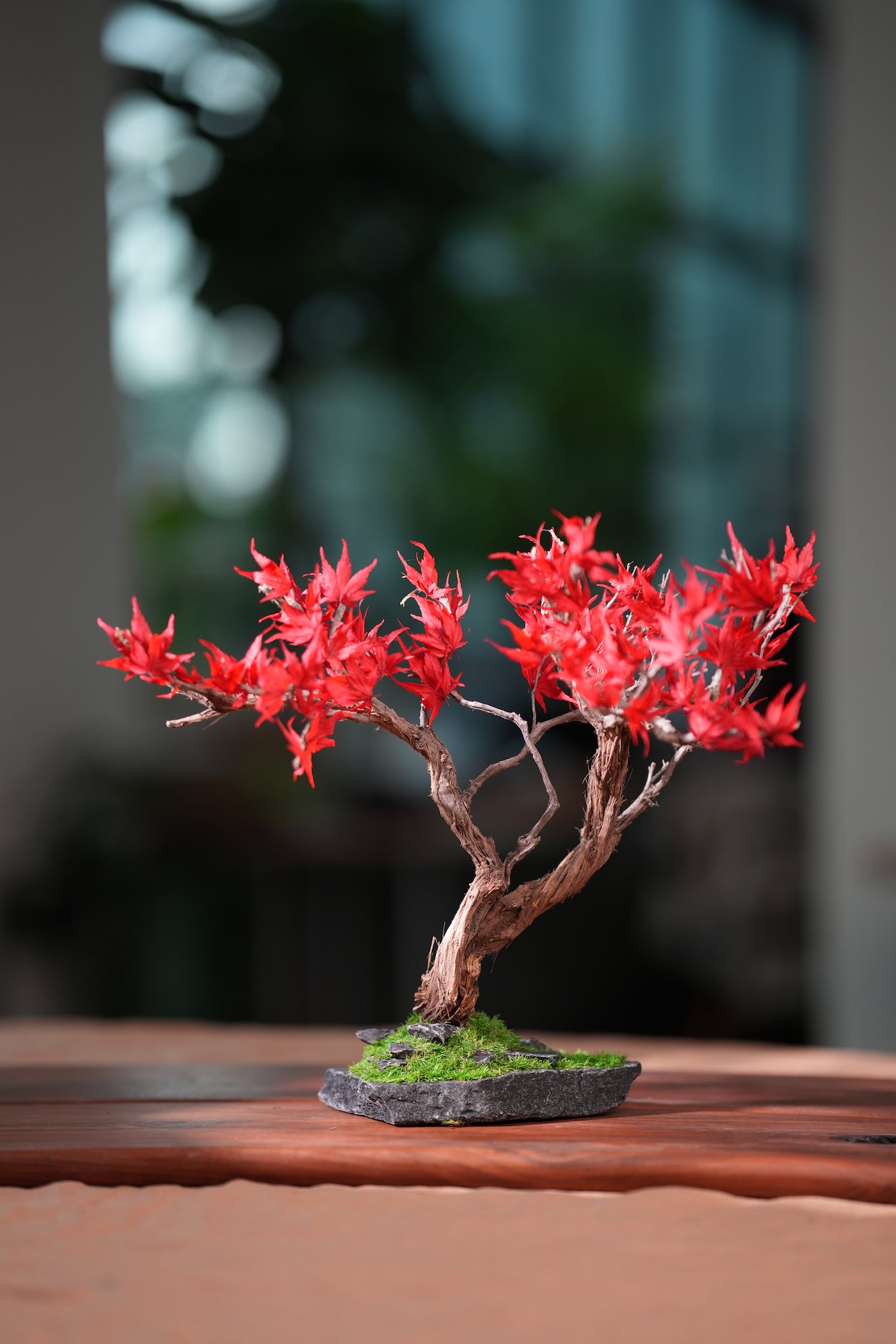 Theatre of Autumn - Flaming Maple (Preserved Plants)