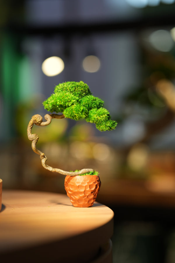 Poet of the Forest #2