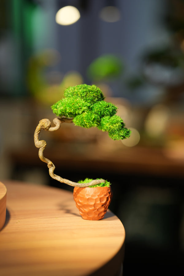 Poet of the Forest #2