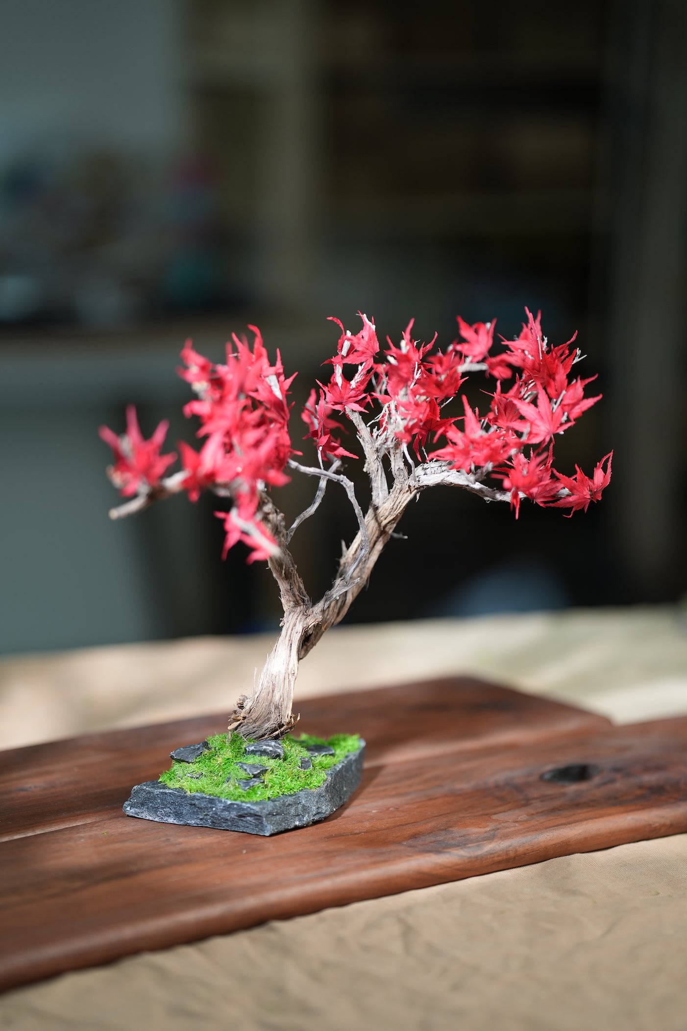 Theatre of Autumn - Flaming Maple (Preserved Plants)