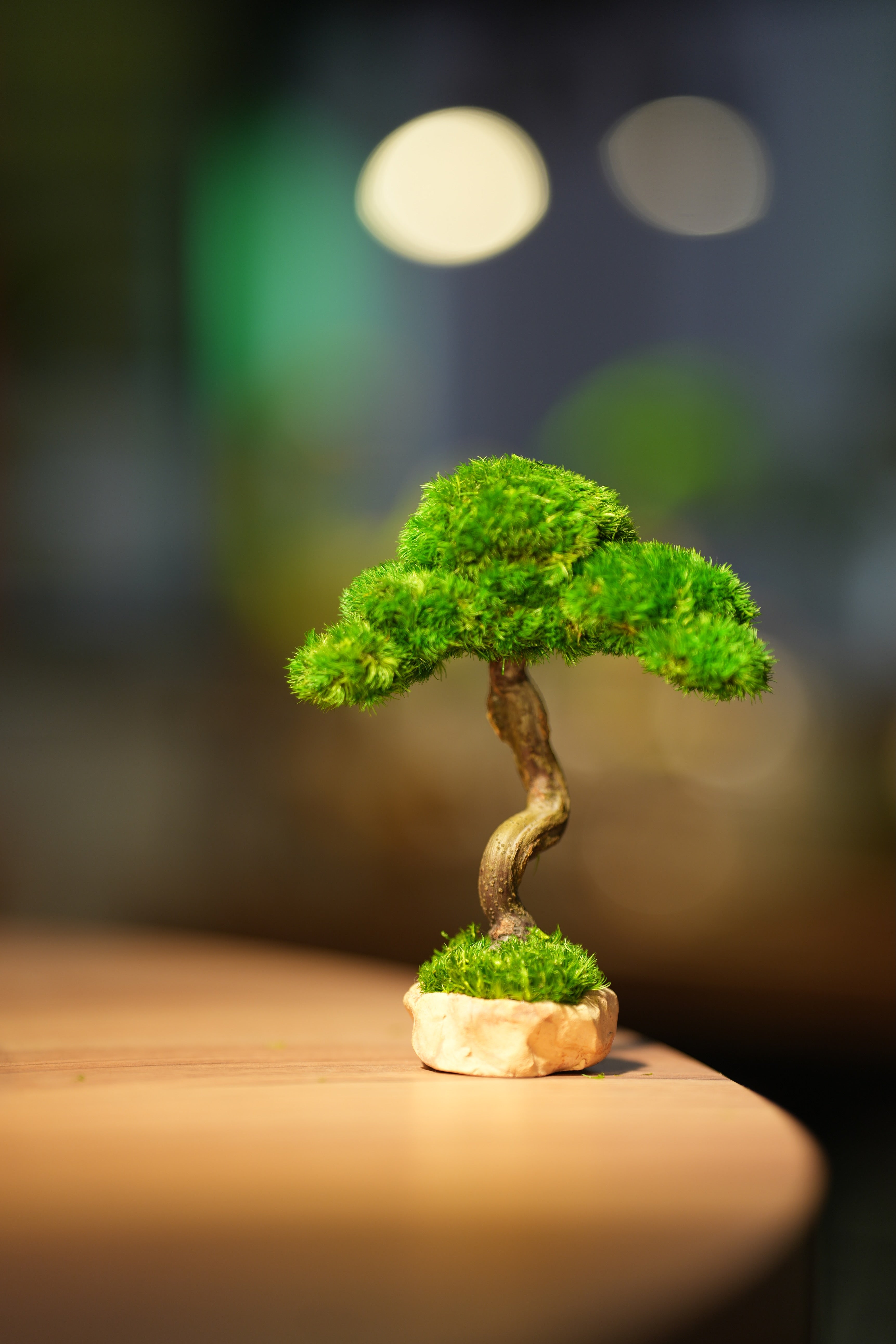 Small Tree in the East