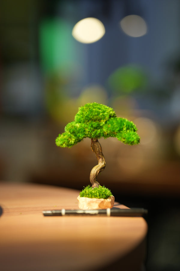 Small Tree in the East