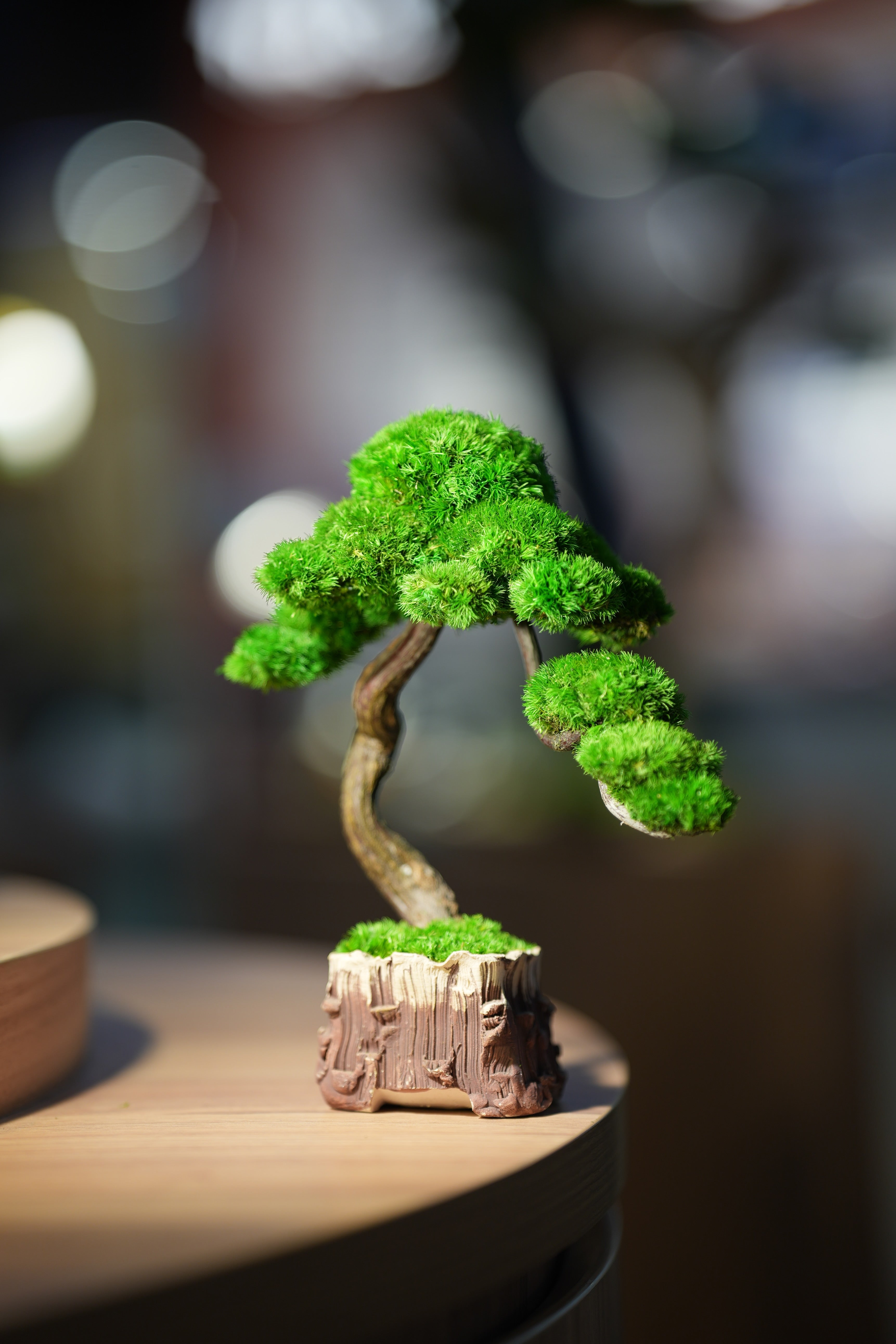 Rosewood - Water Fall