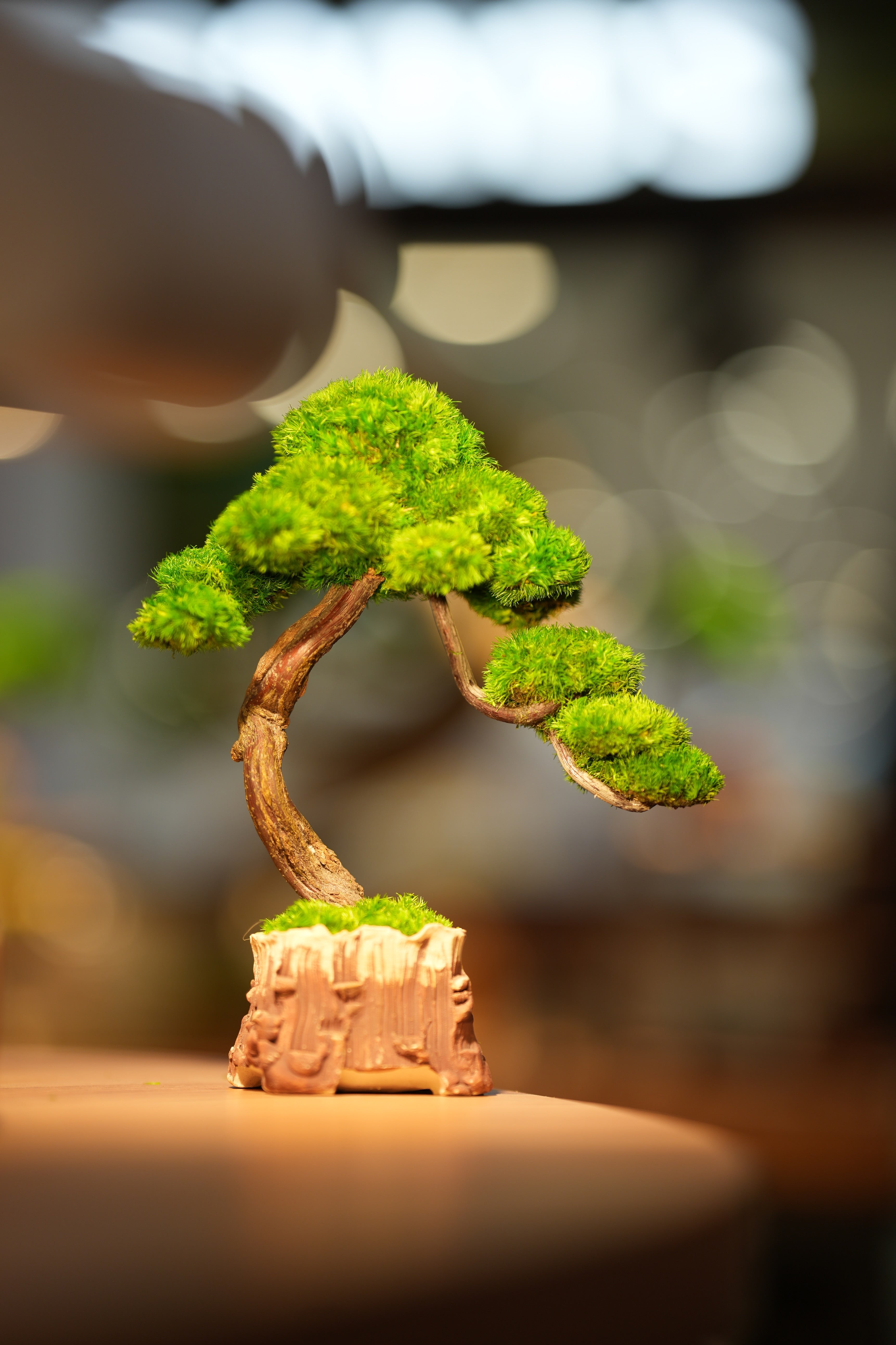 Rosewood - Water Fall