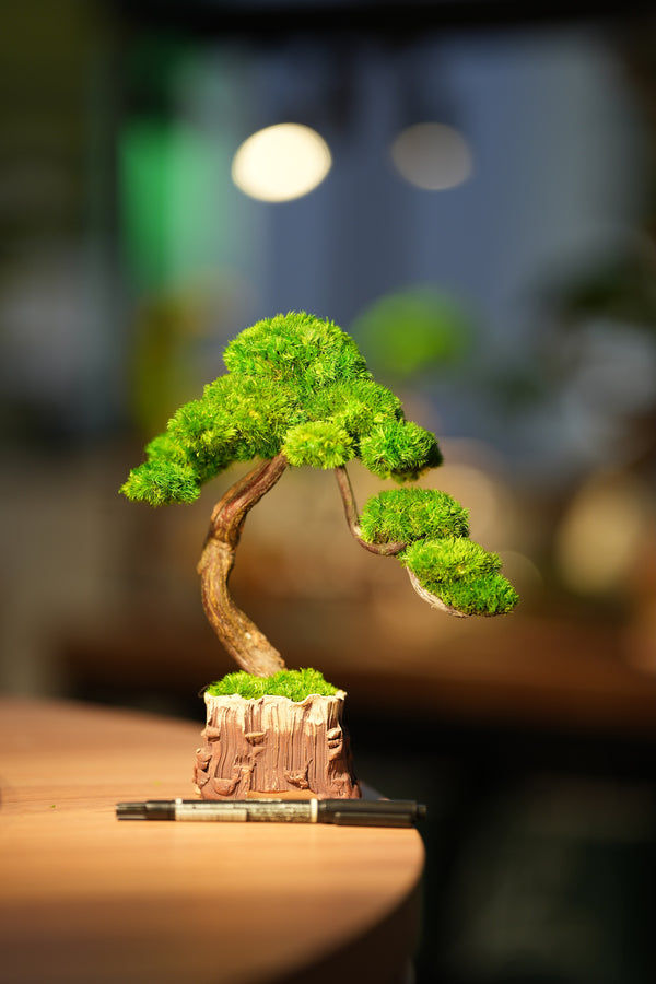 Rosewood - Water Fall