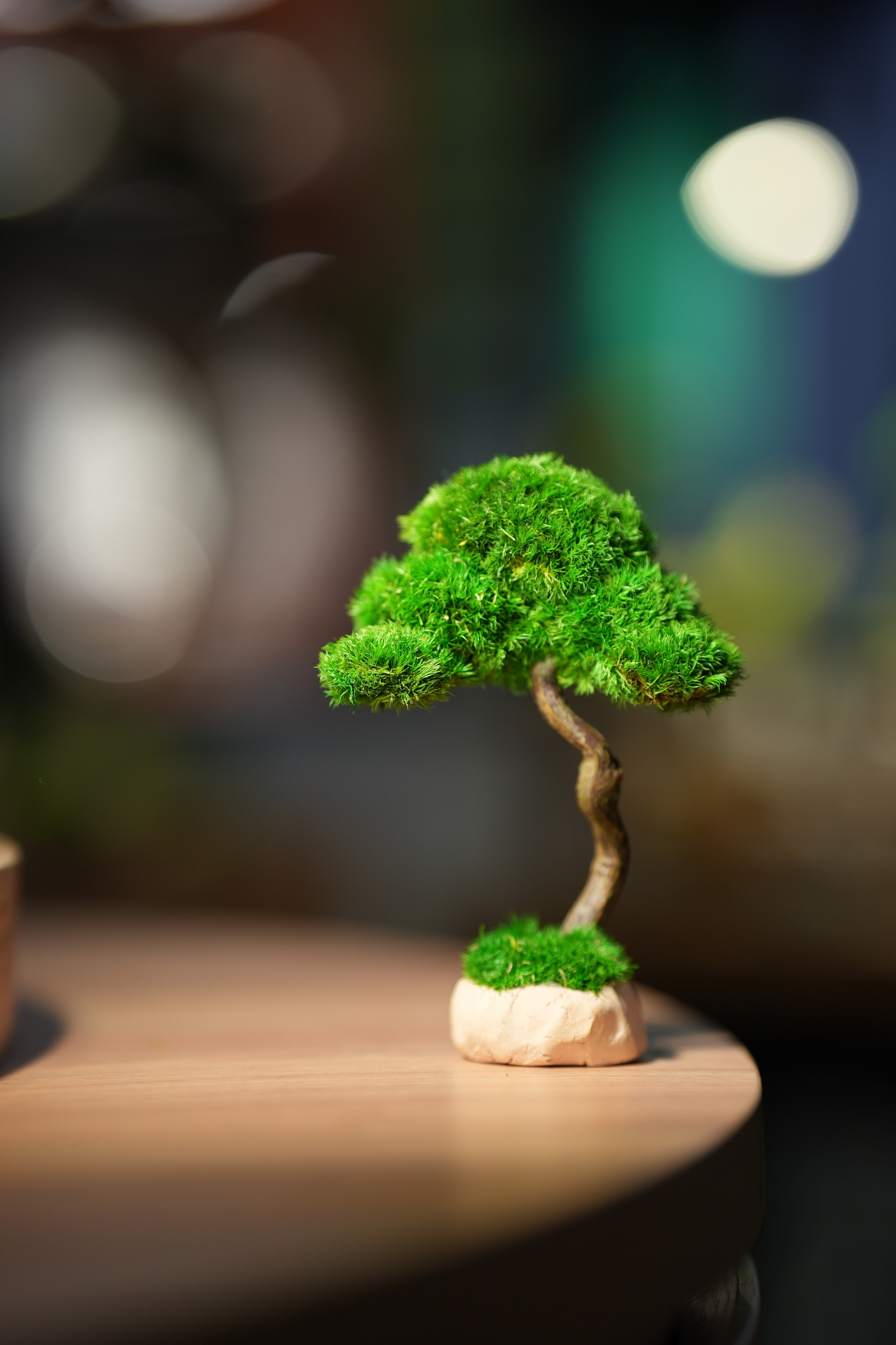 Small Tree in the East - Benchmark