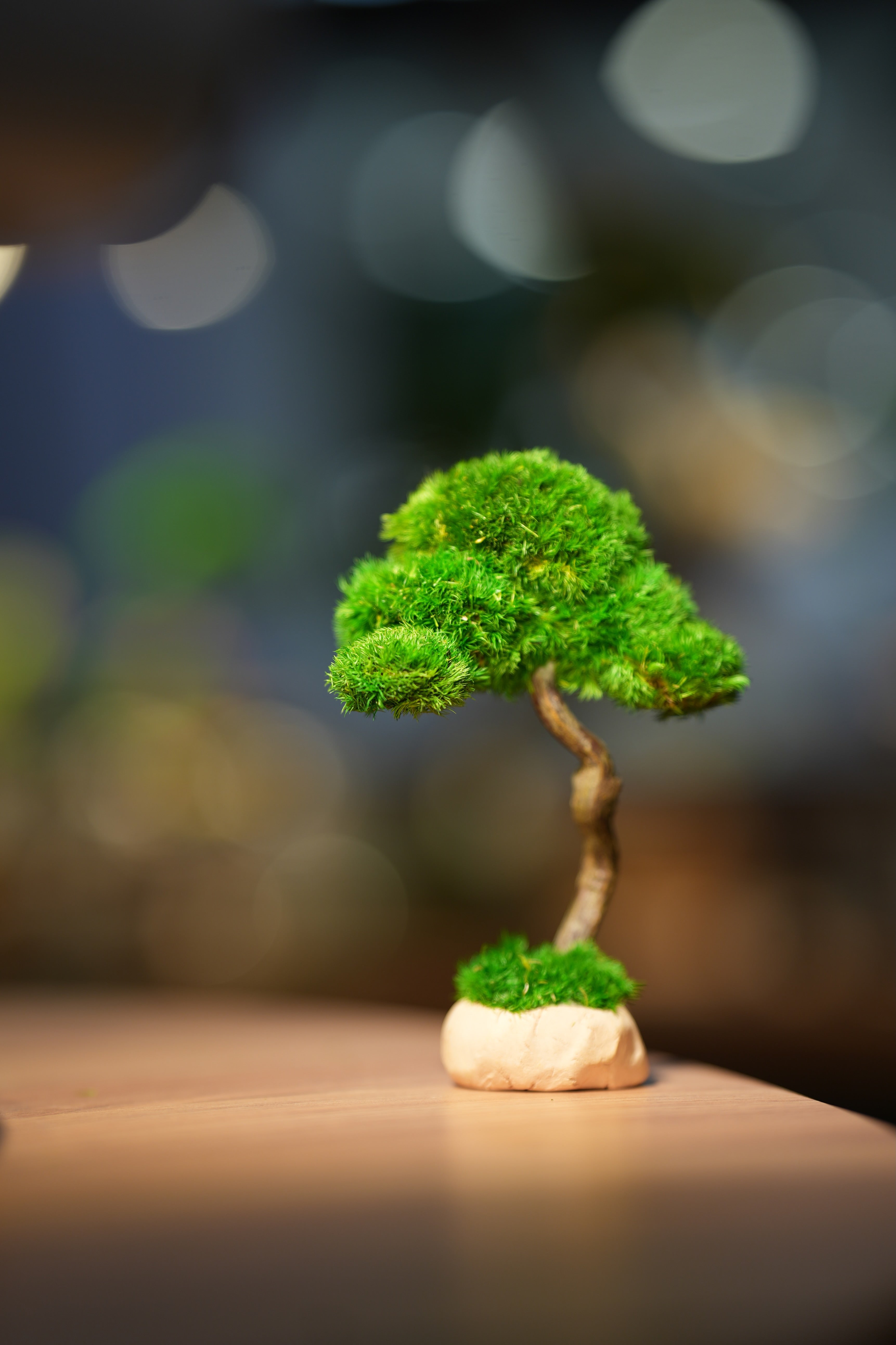 Small Tree in the East - Benchmark