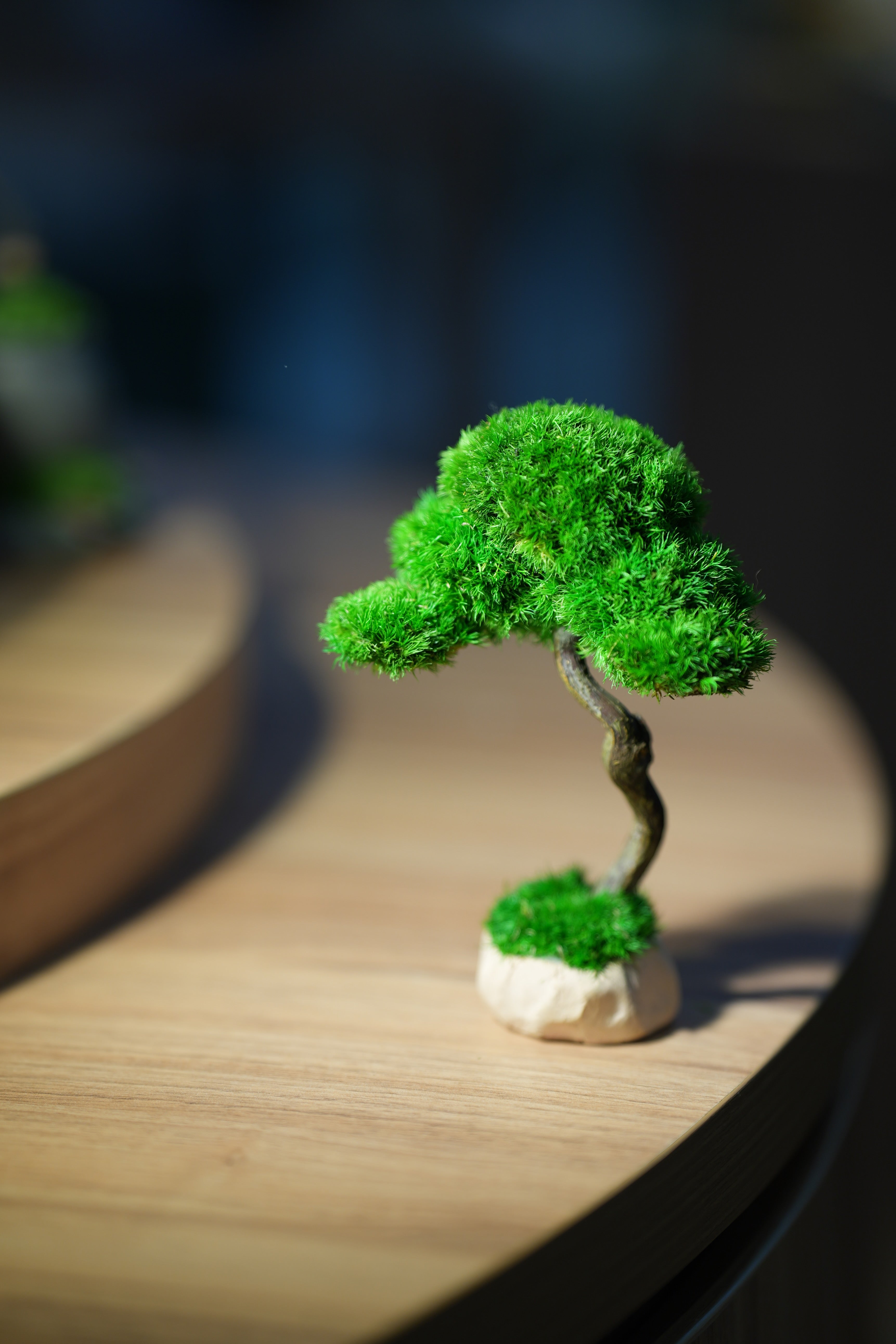 Small Tree in the East - Benchmark