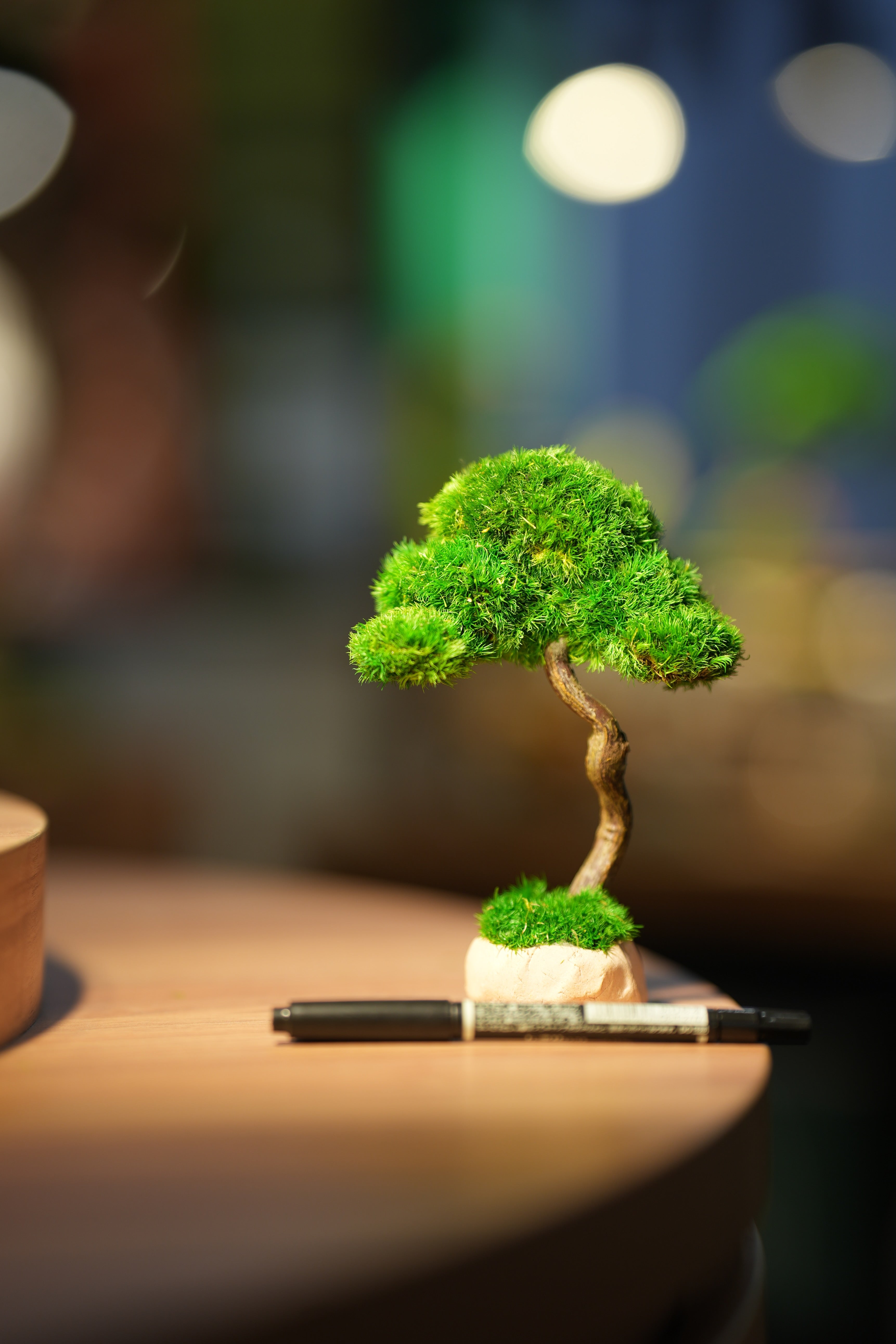 Small Tree in the East - Benchmark