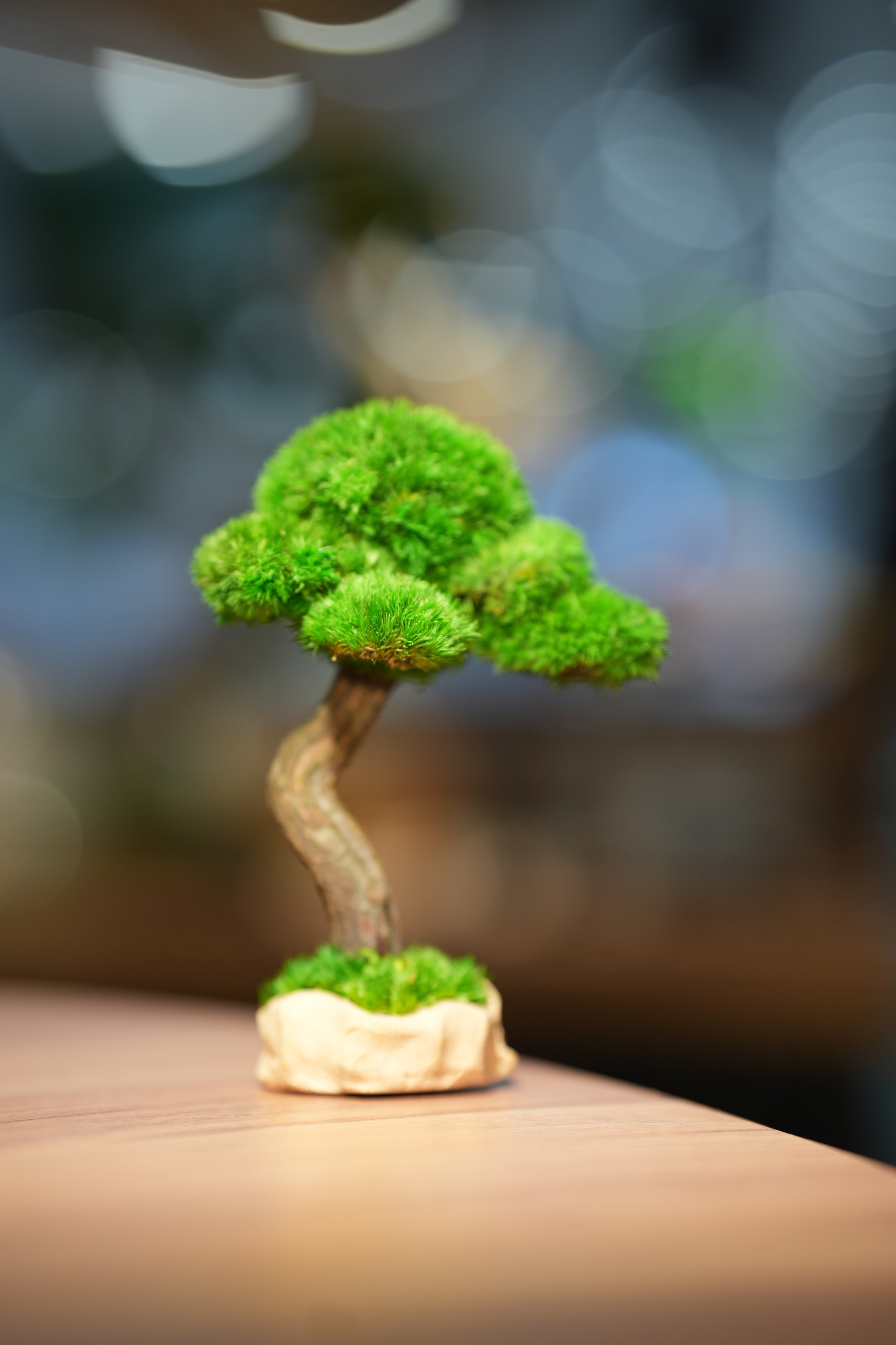 Small Tree in the East