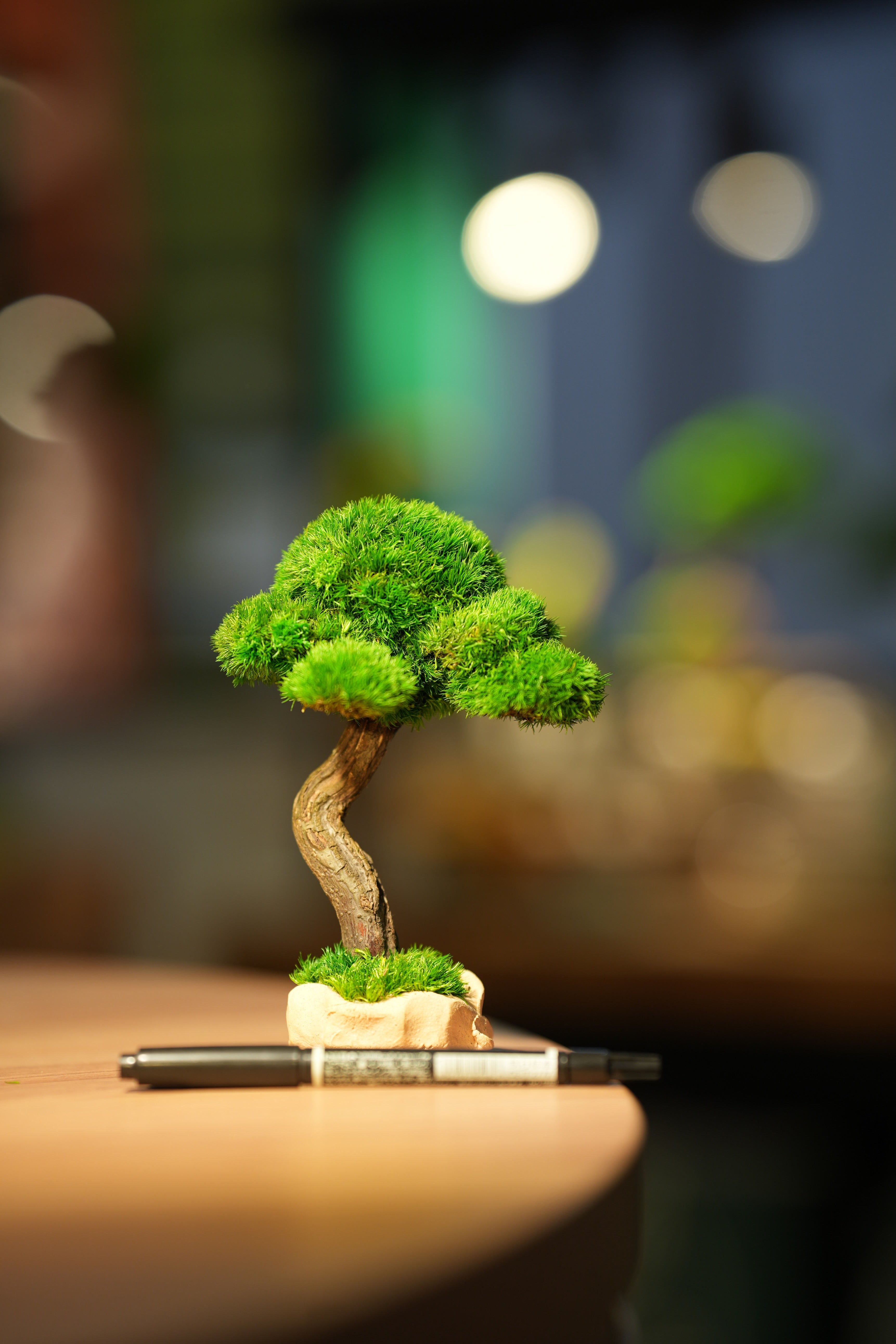 Small Tree in the East