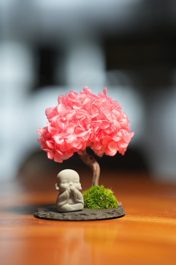 A Small Tree in the East - Sakura - Journeyman