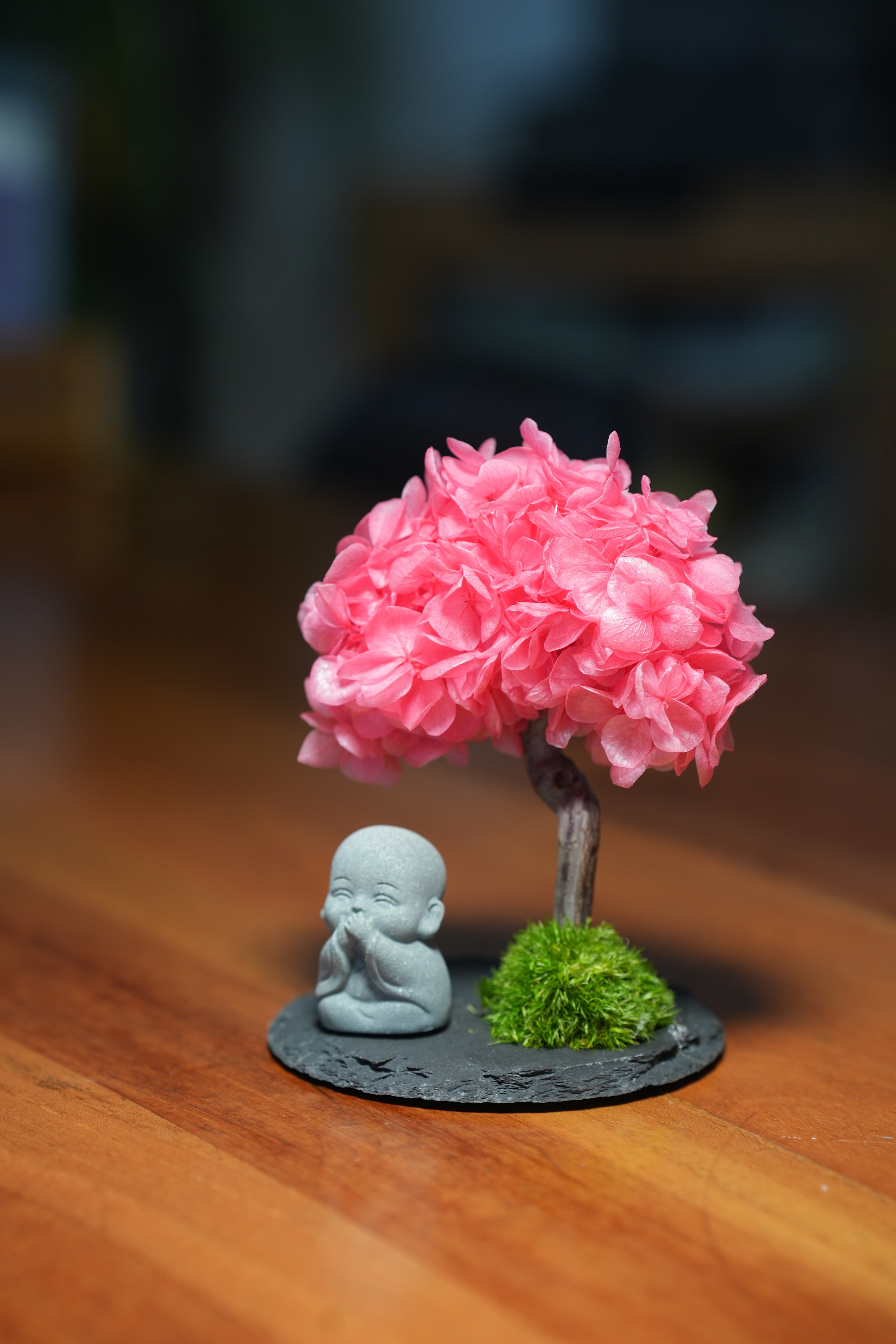 A Small Tree in the East - Sakura - Journeyman