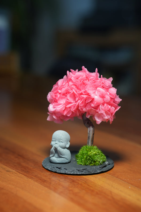 A Small Tree in the East - Sakura - Journeyman