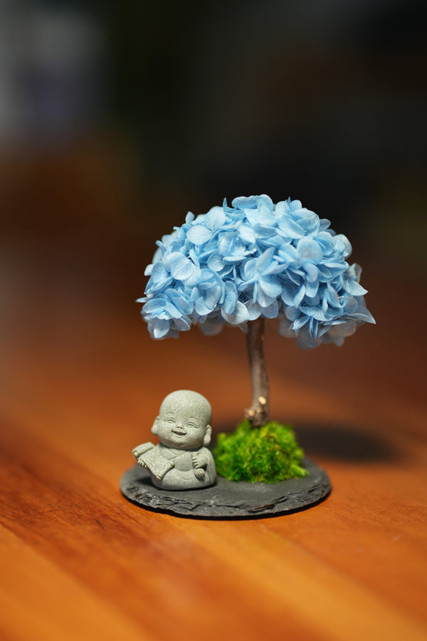 A Small Tree in the East - Blue Dream - Journeyman