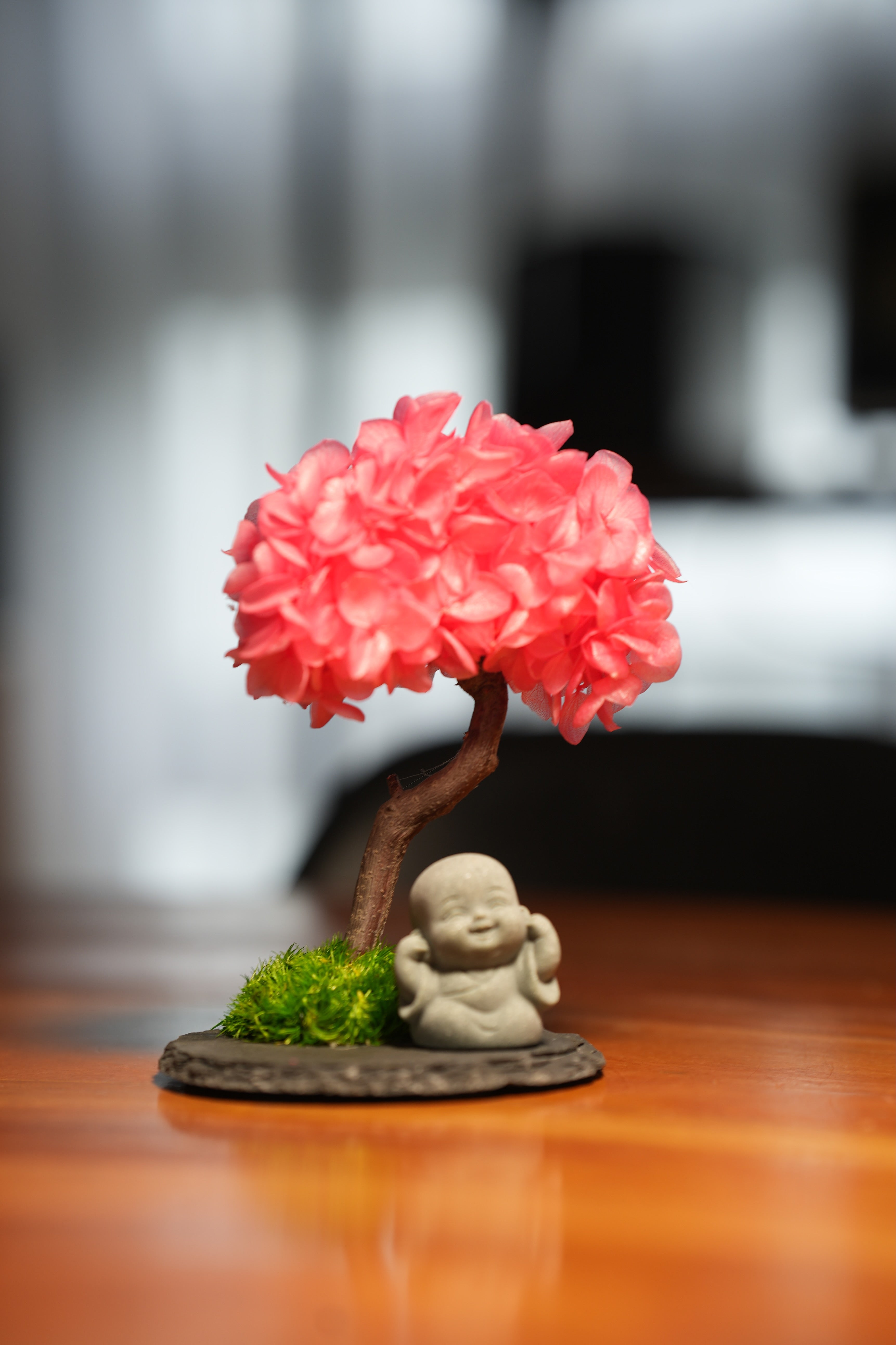 A Small Tree in the East - Sakura - Journeyman