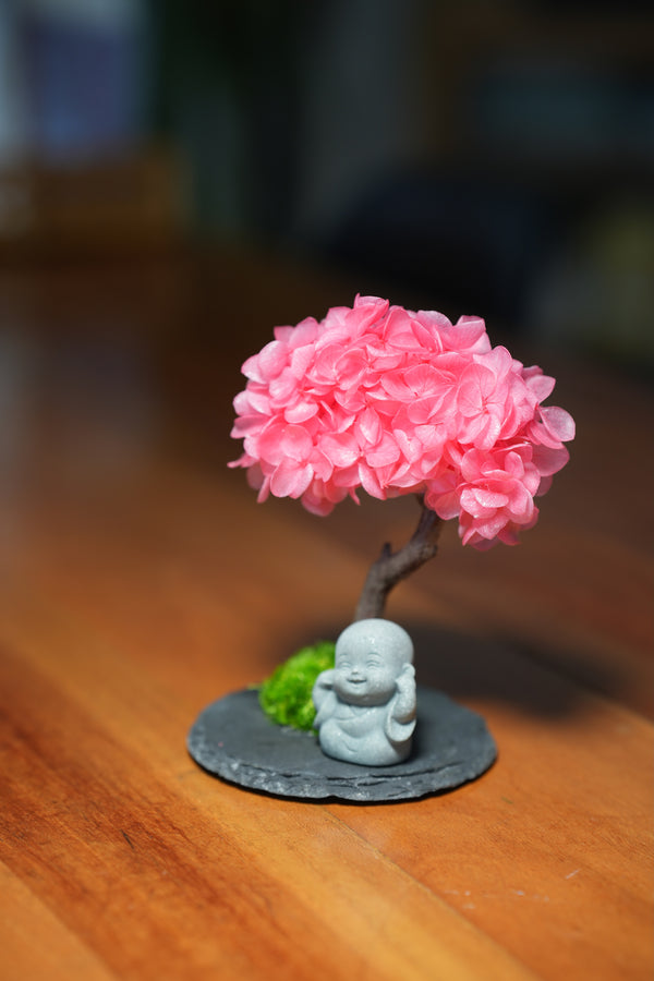 A Small Tree in the East - Sakura - Journeyman