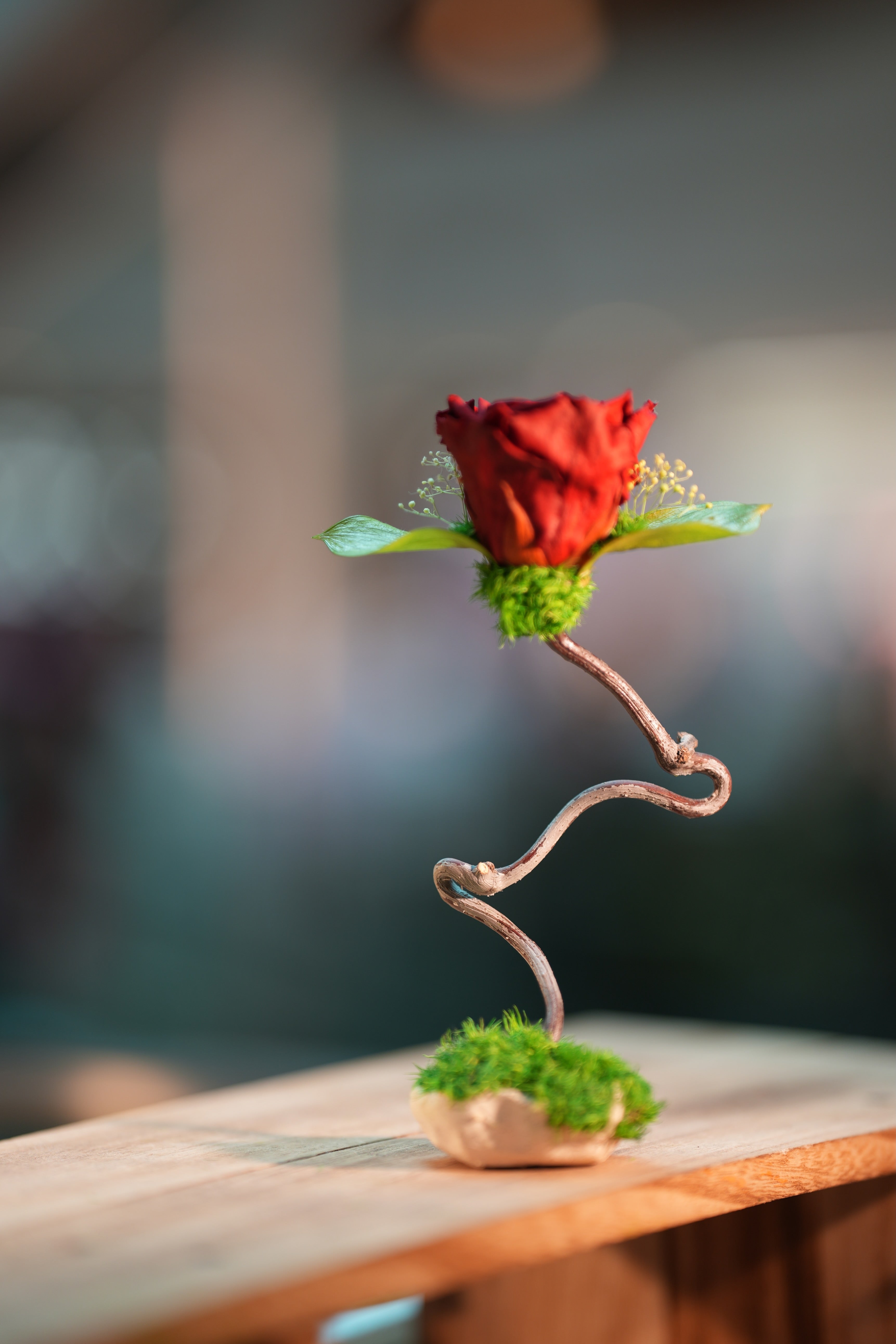 Children of the Forest - Jupiter