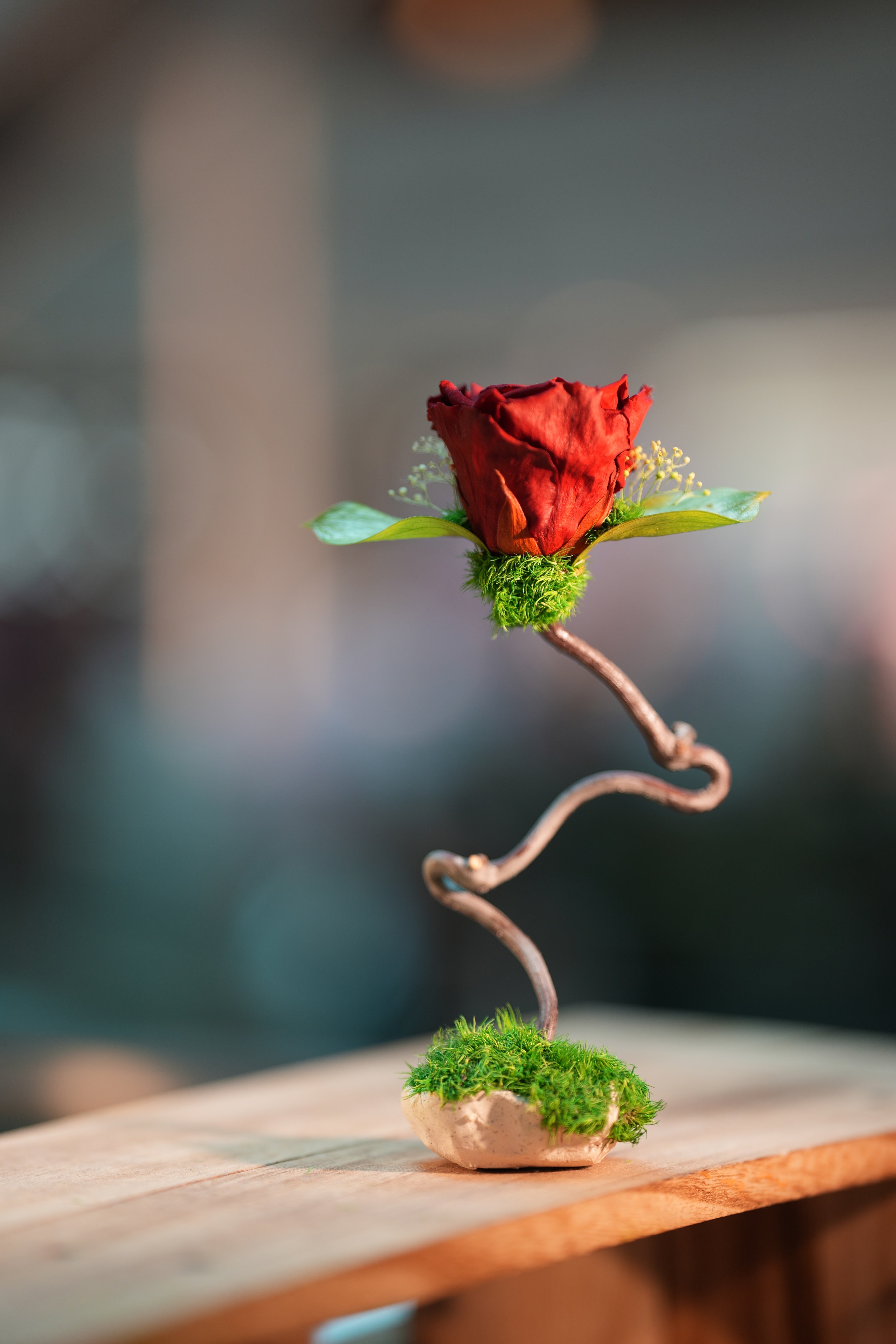 Children of the Forest - Jupiter