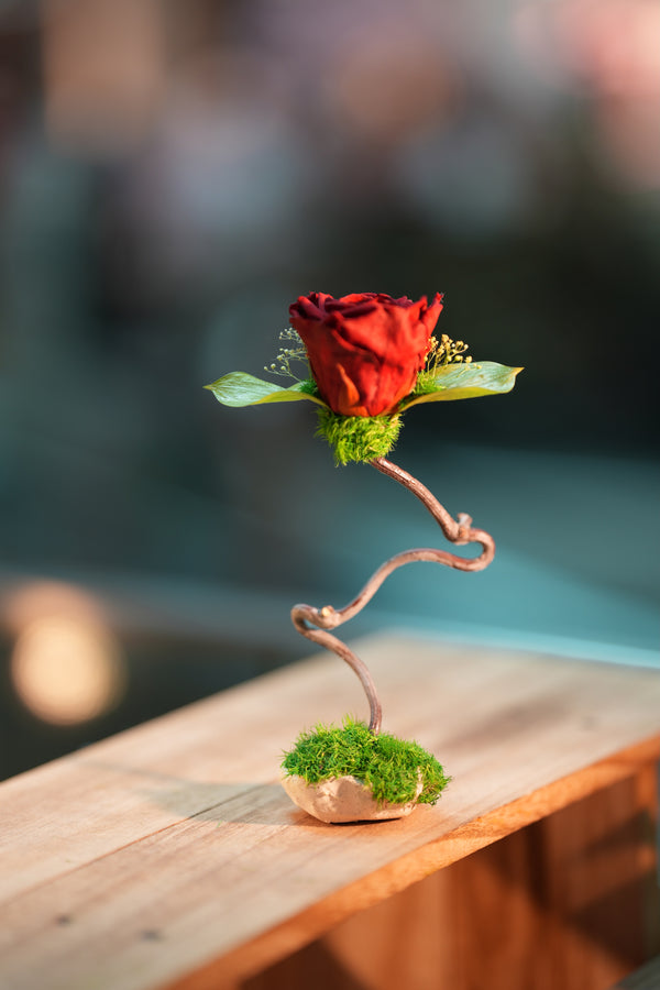 Children of the Forest - Jupiter