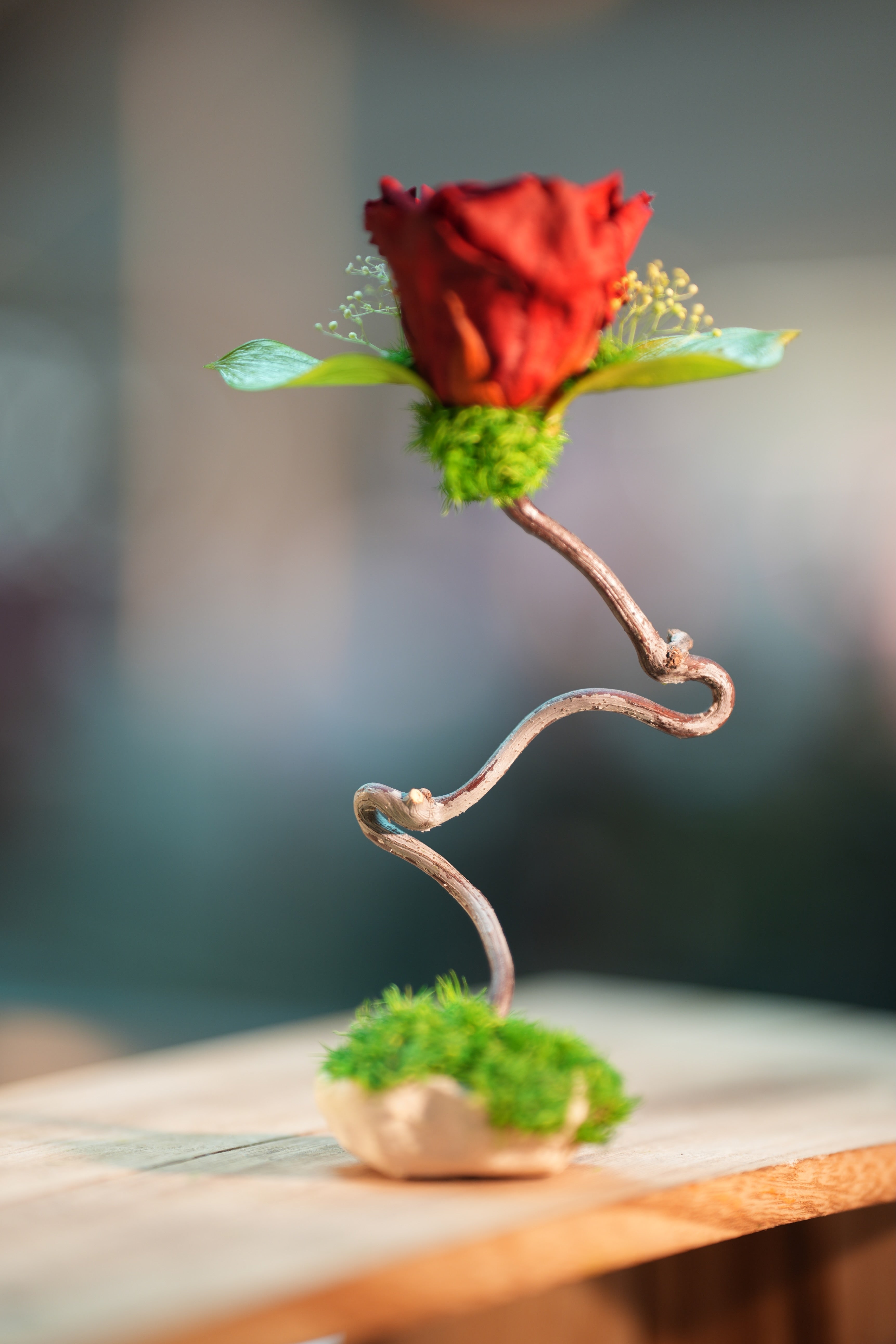 Children of the Forest - Jupiter