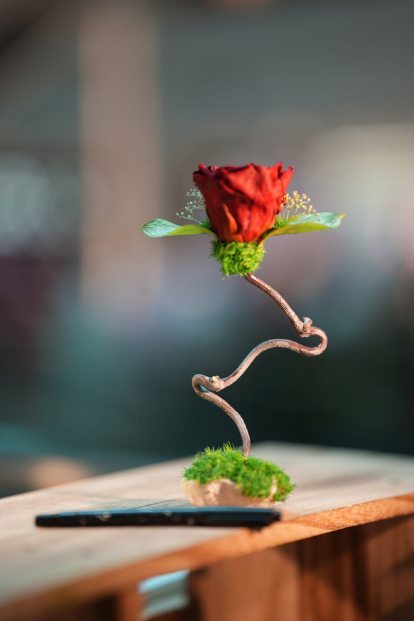 Children of the Forest - Jupiter