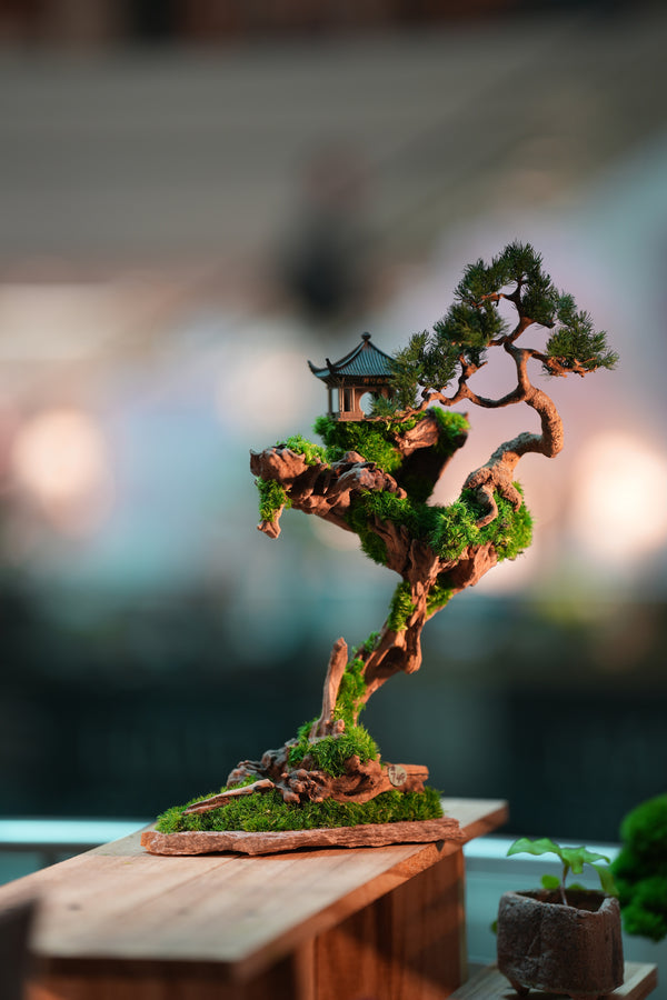 Blackwood Cliff - Benchmark