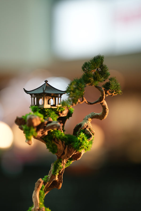 Blackwood Cliff - Benchmark