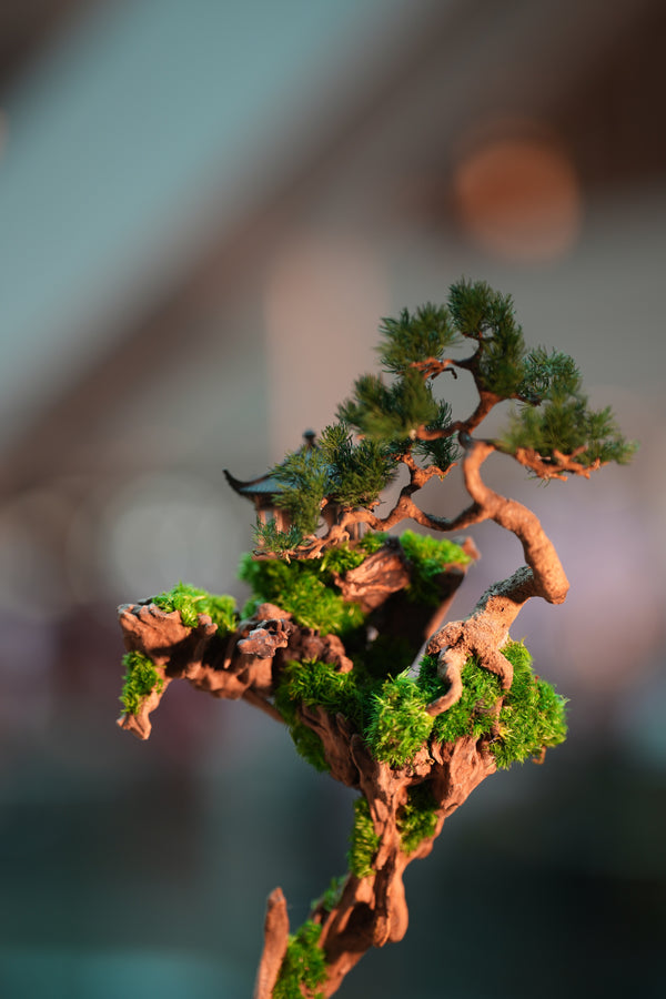 Blackwood Cliff - Benchmark