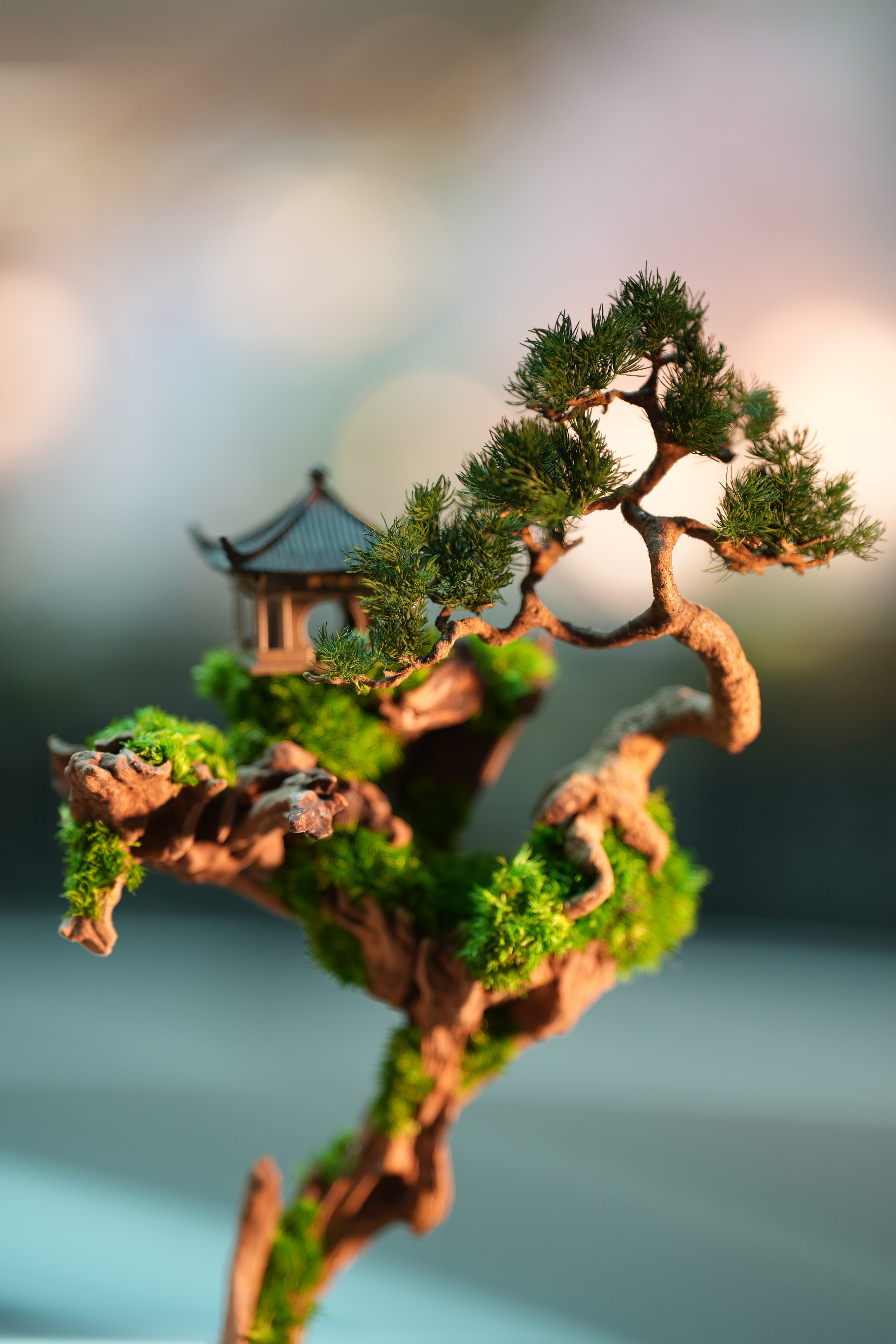 Blackwood Cliff - Benchmark