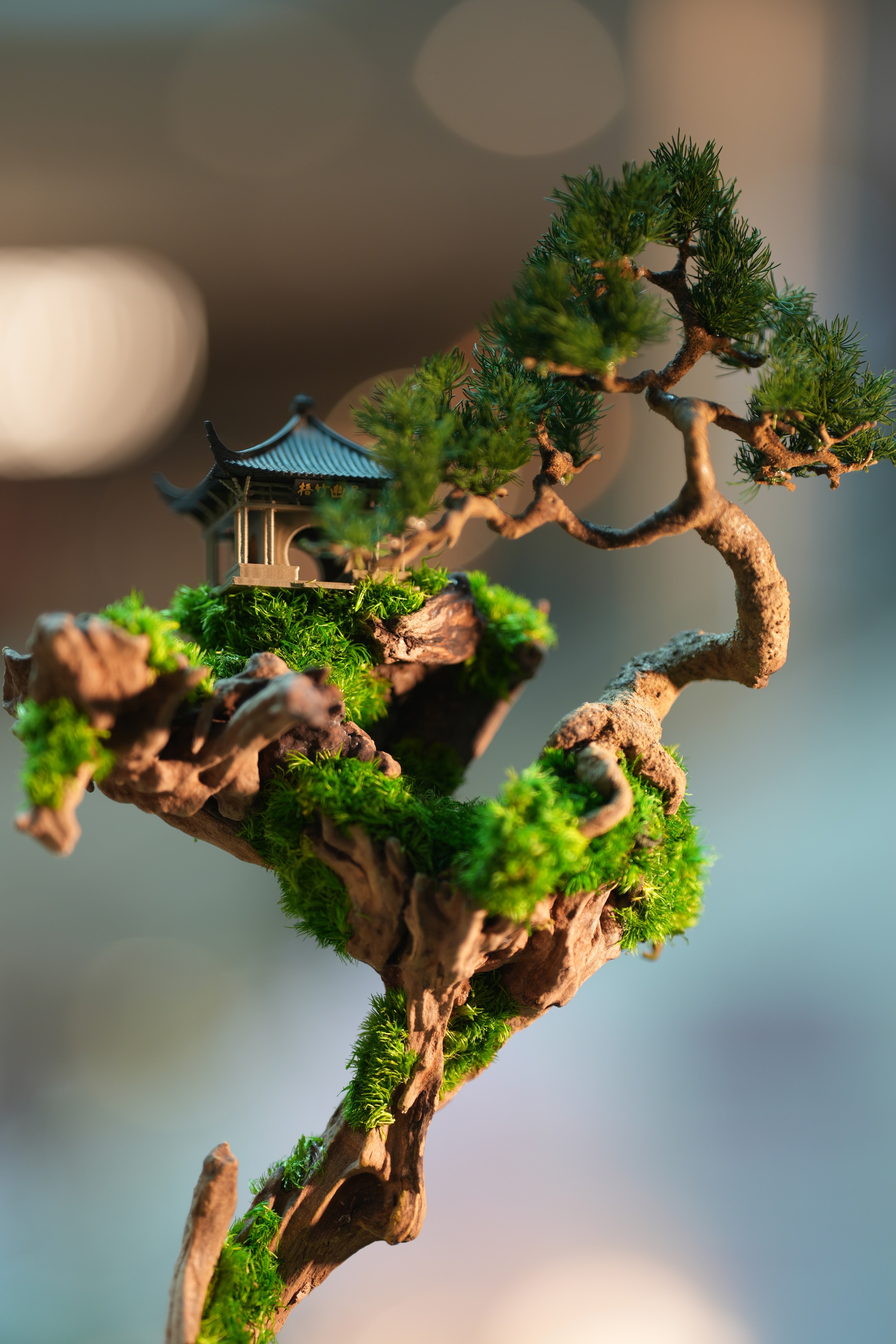 Blackwood Cliff - Benchmark