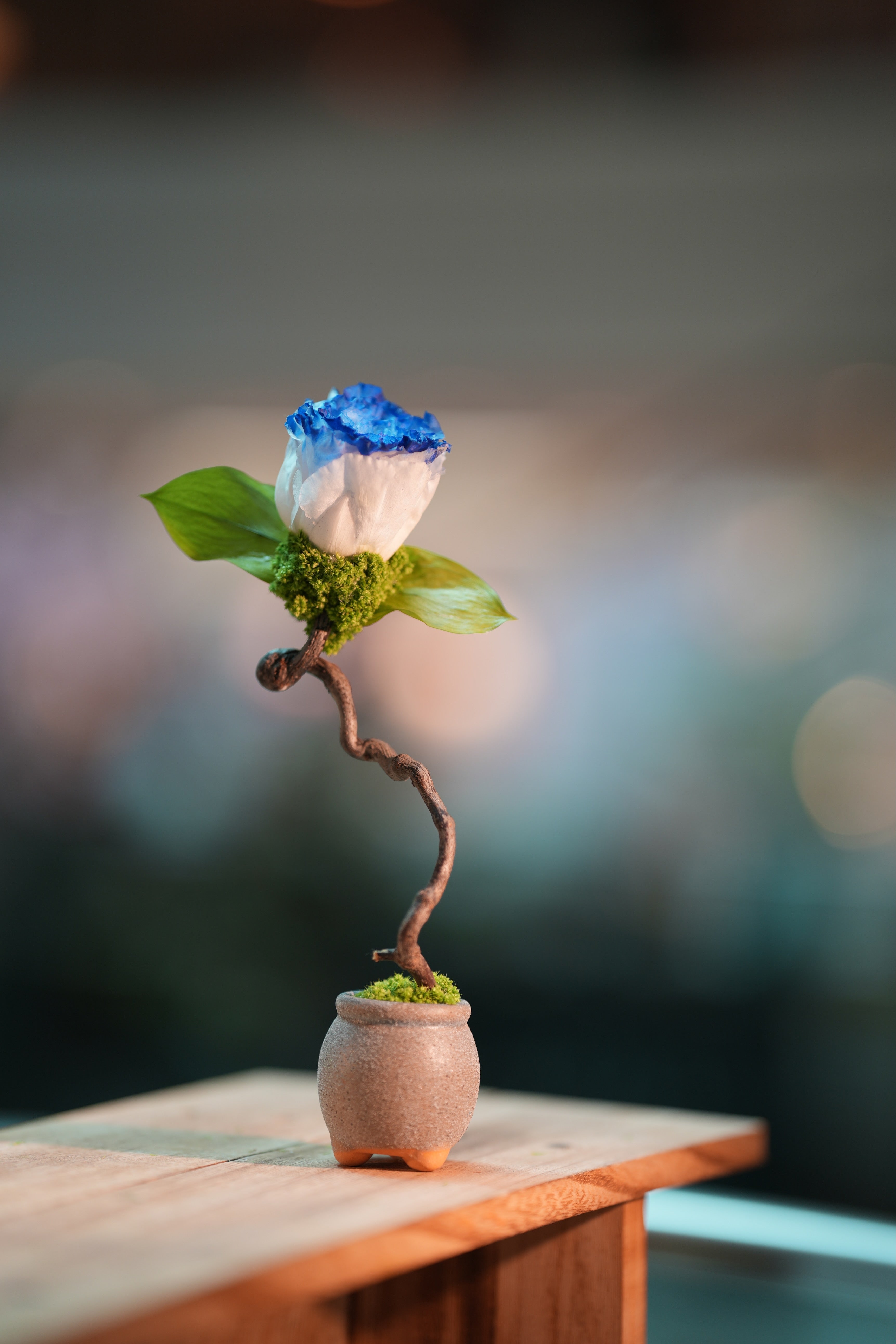 Children of the Forest - Jupiter - Blue Dream