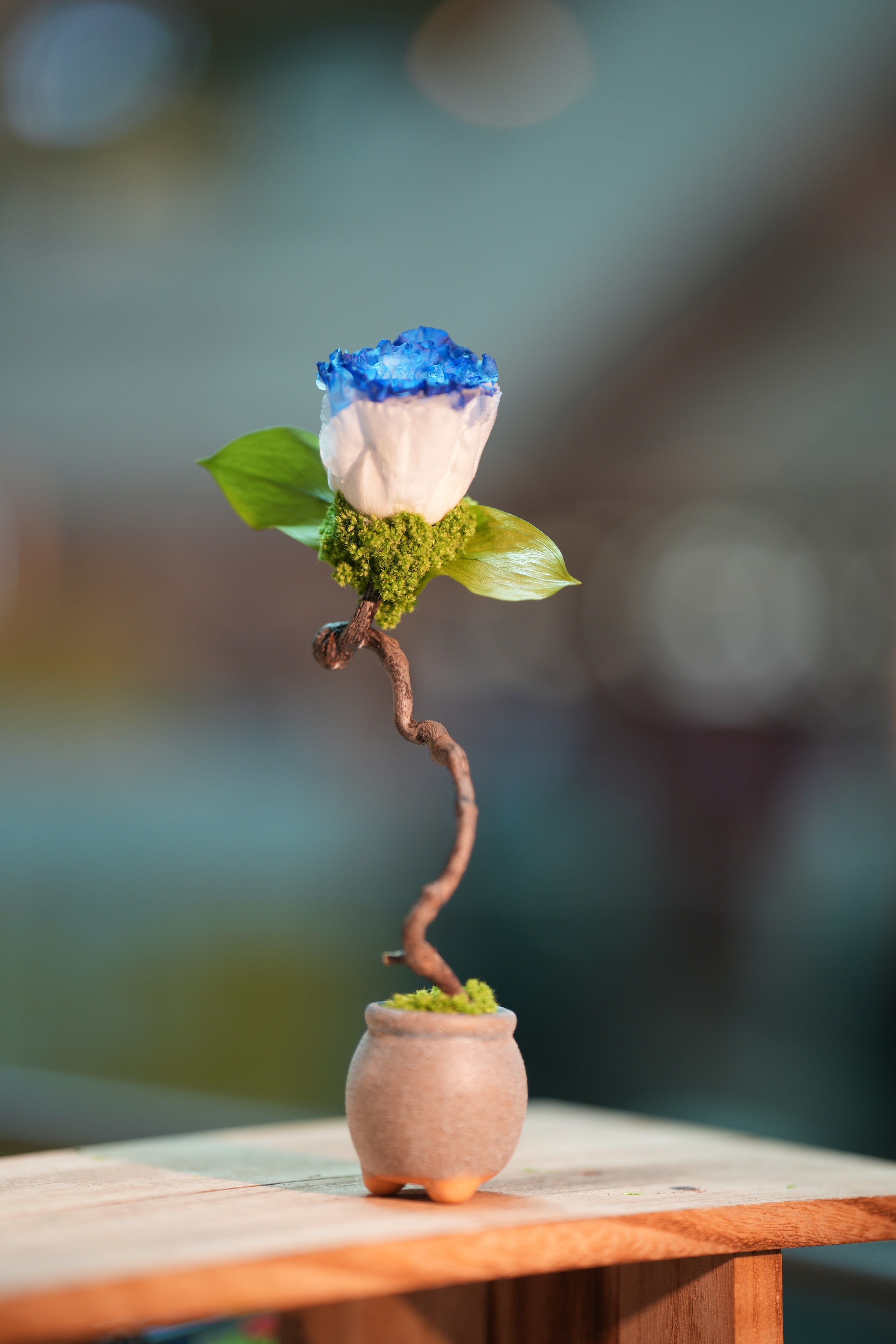 Children of the Forest - Jupiter - Blue Dream