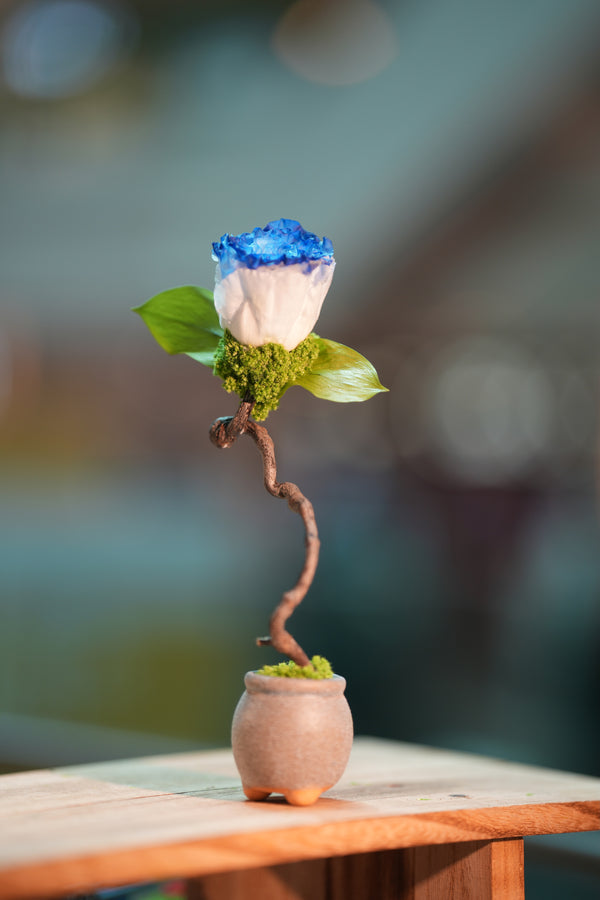 Children of the Forest - Jupiter - Blue Dream