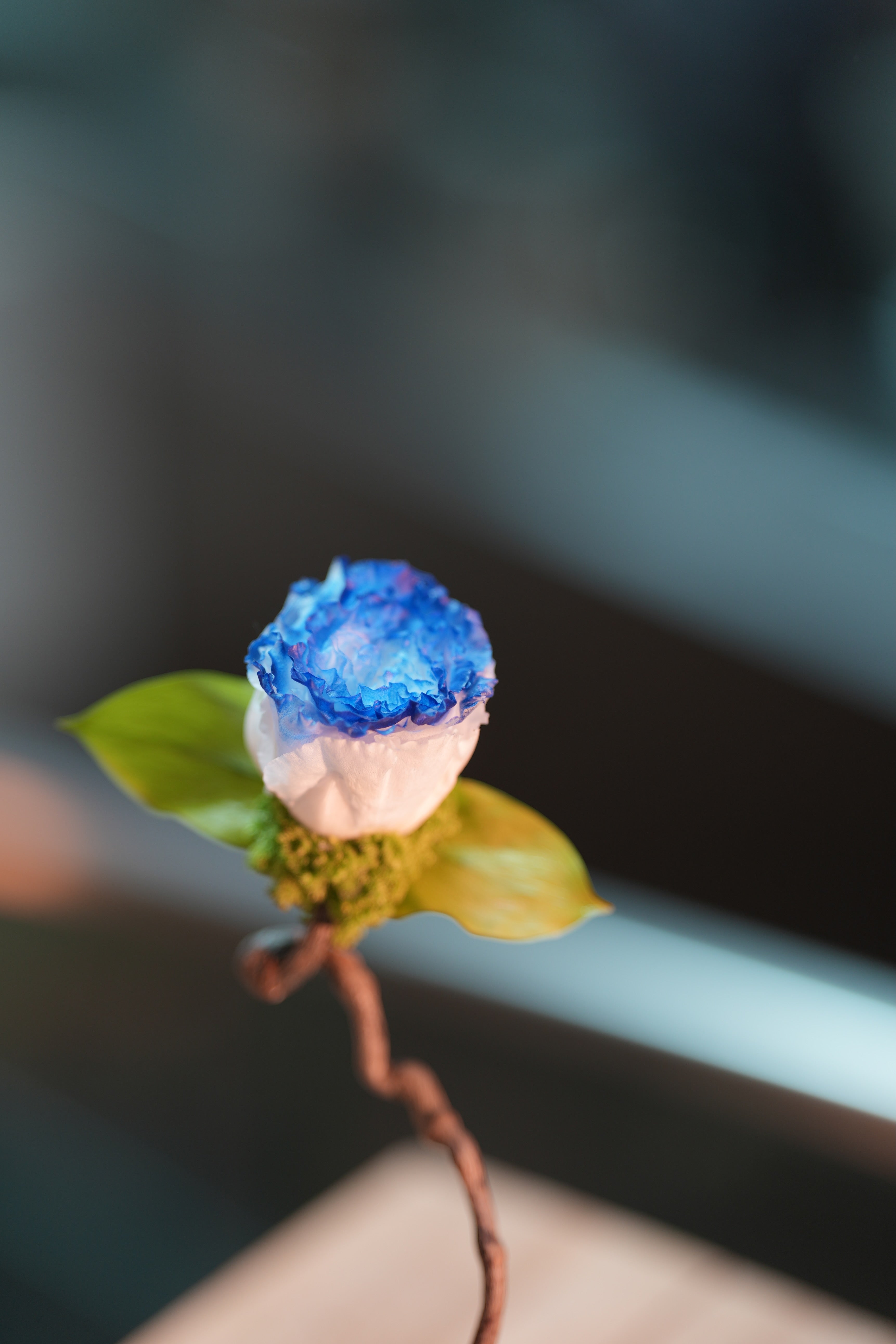 Children of the Forest - Jupiter - Blue Dream