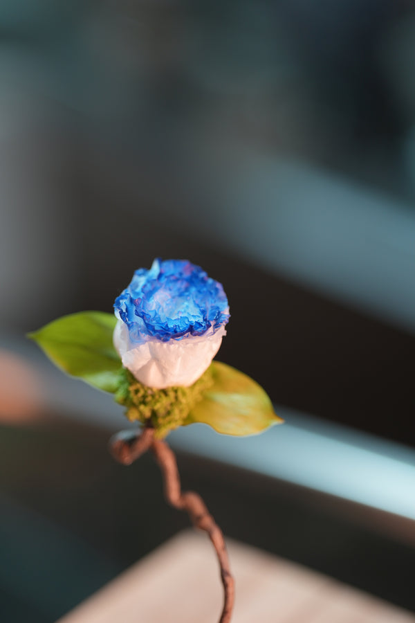 Children of the Forest - Jupiter - Blue Dream