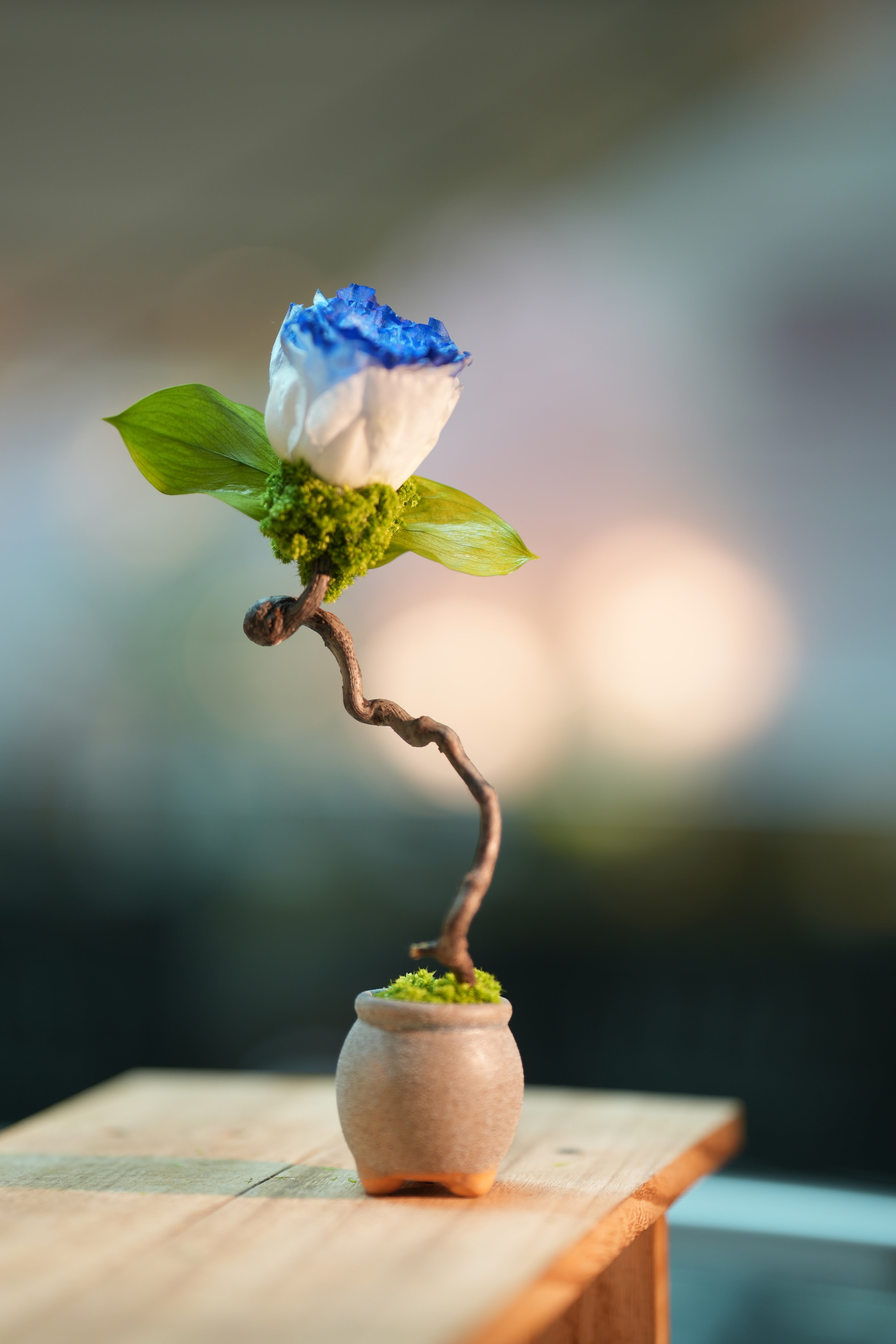 Children of the Forest - Jupiter - Blue Dream