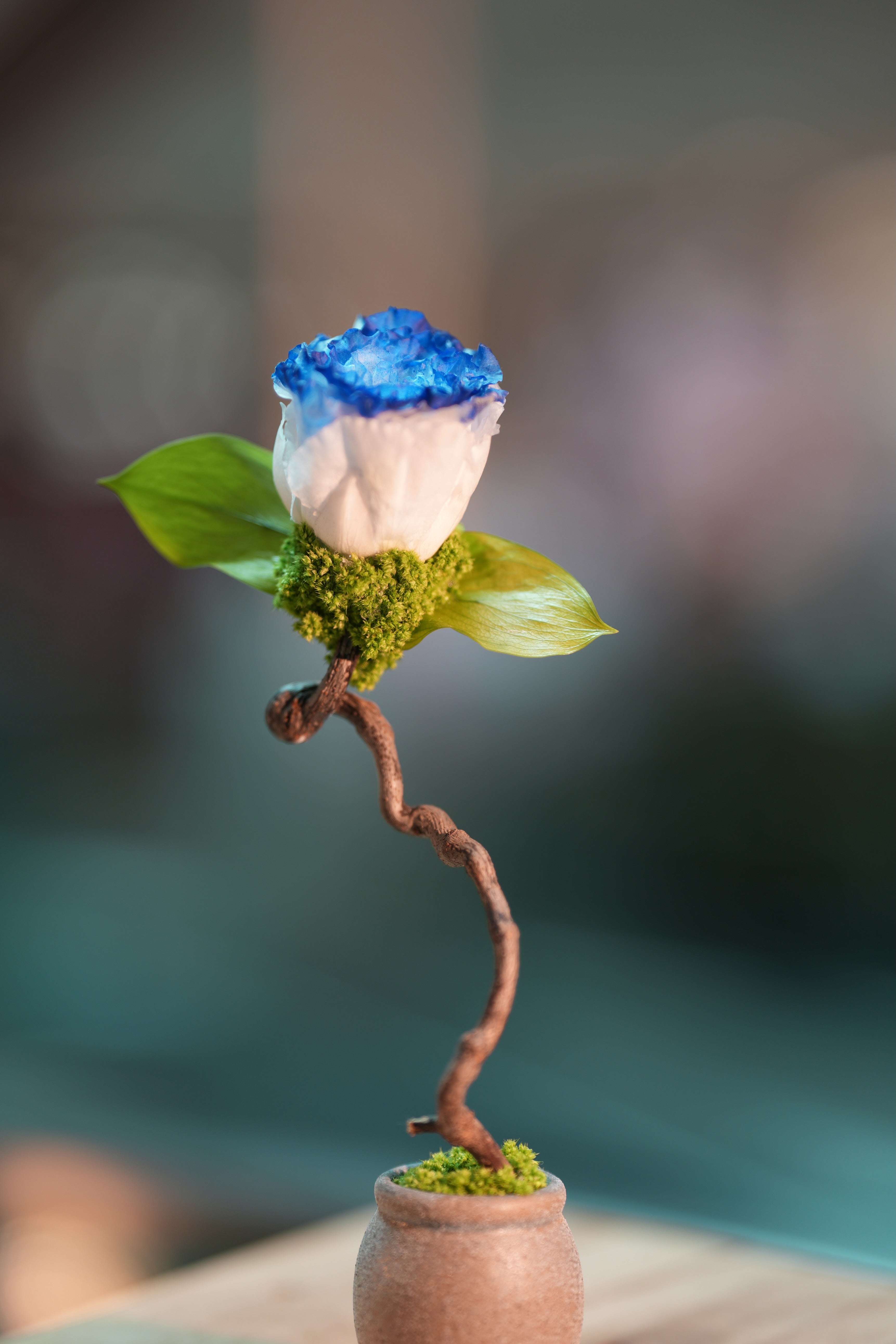 Children of the Forest - Jupiter - Blue Dream