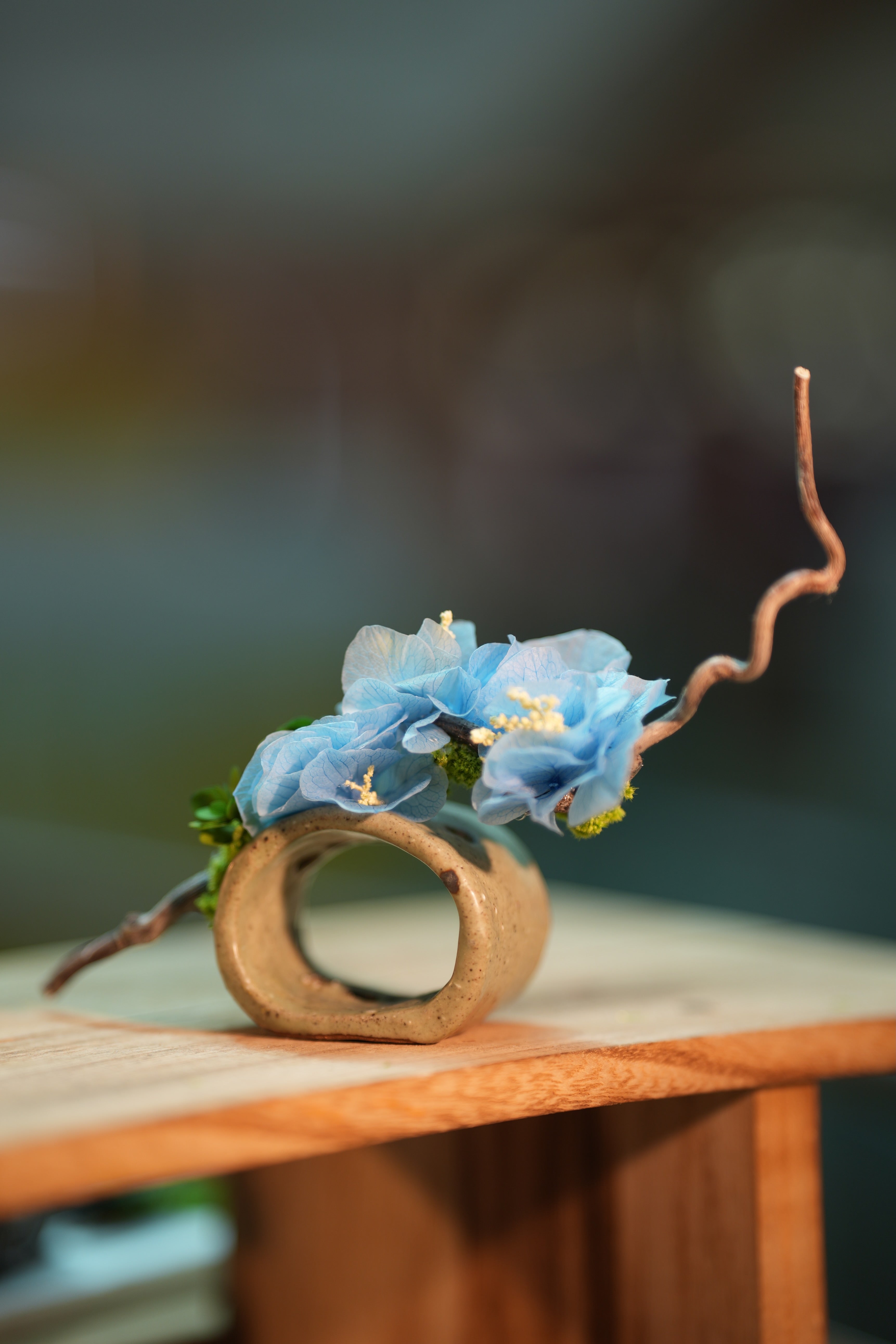 Children of the Forest