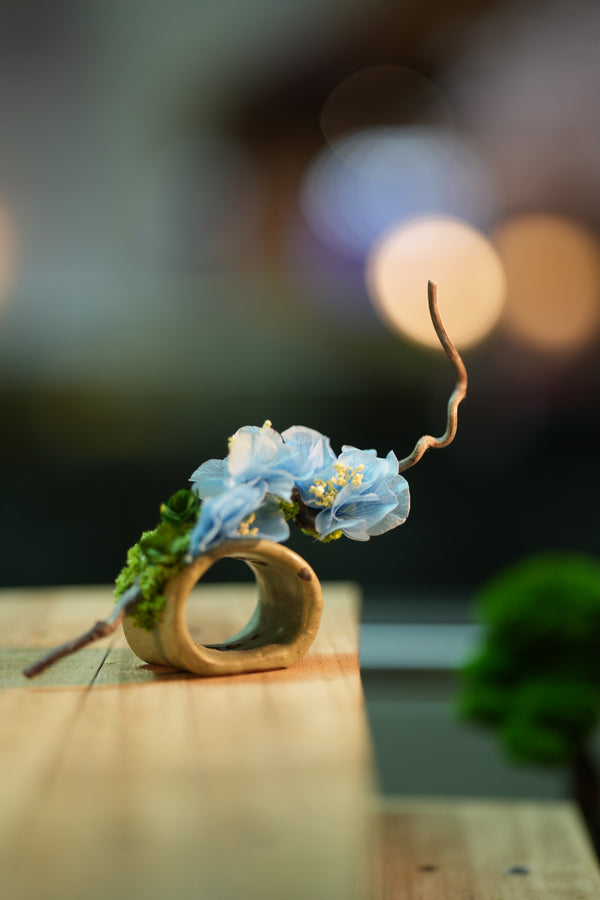 Children of the Forest