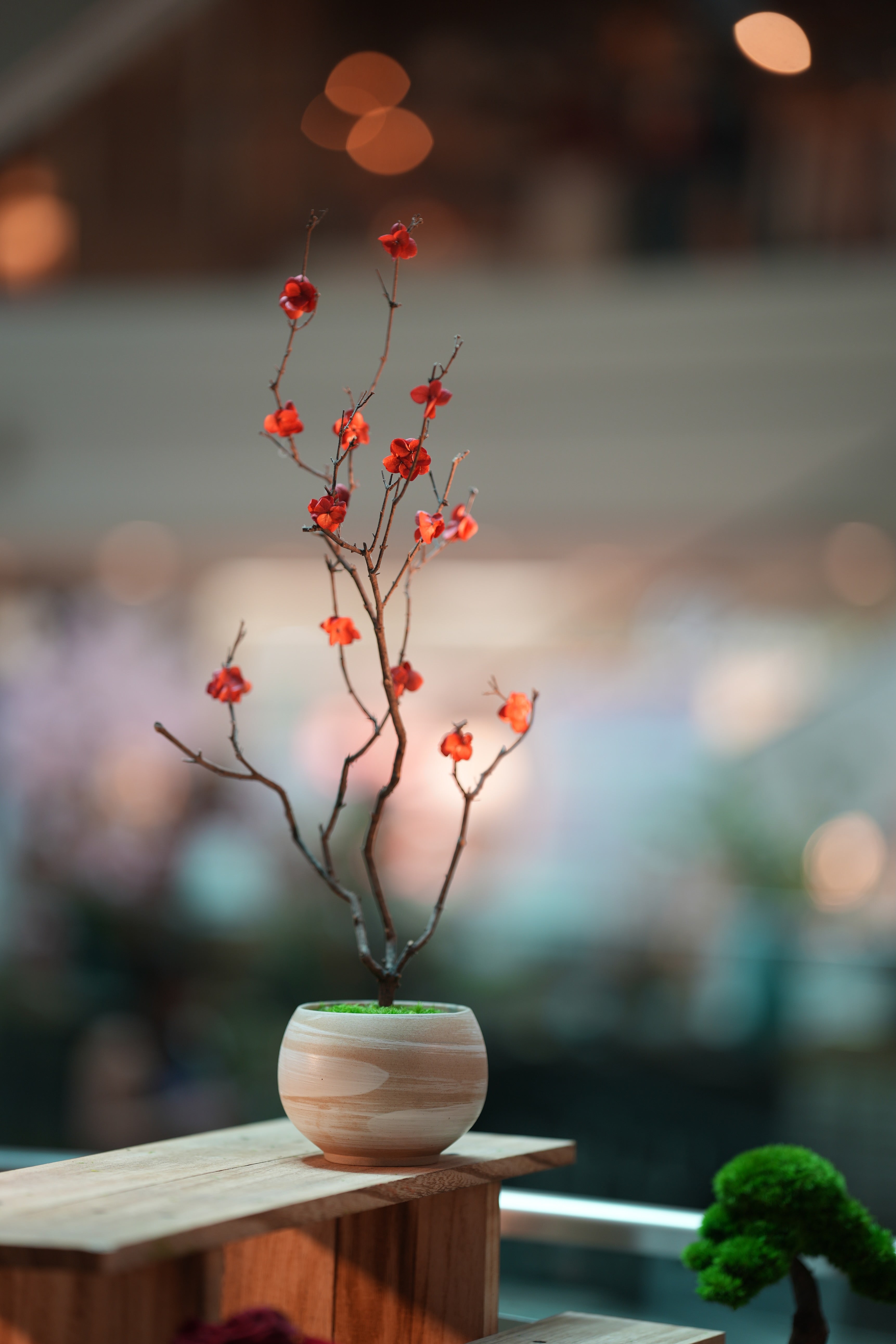 Slow Wood - The Journey (Preserved Plants)