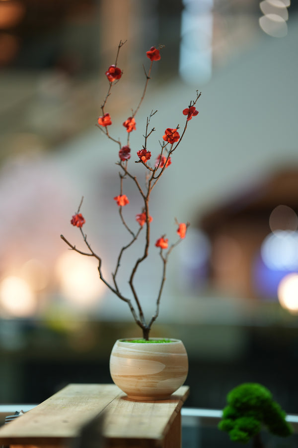 Slow Wood - The Journey (Preserved Plants)