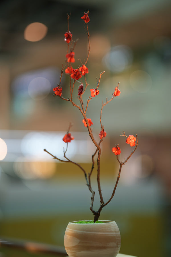 Slow Wood - The Journey (Preserved Plants)