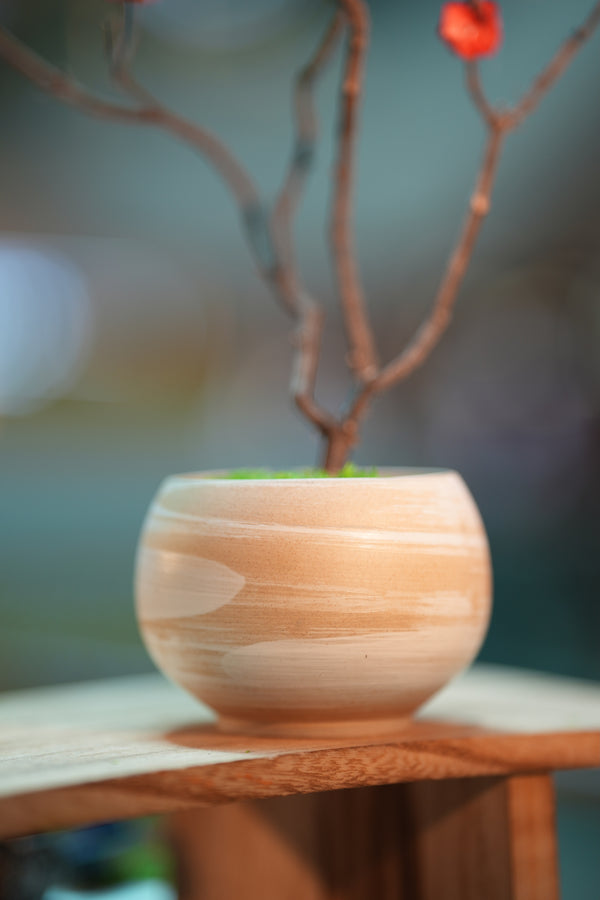 Slow Wood - The Journey (Preserved Plants)