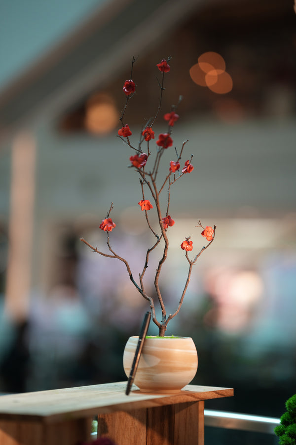 Slow Wood - The Journey (Preserved Plants)